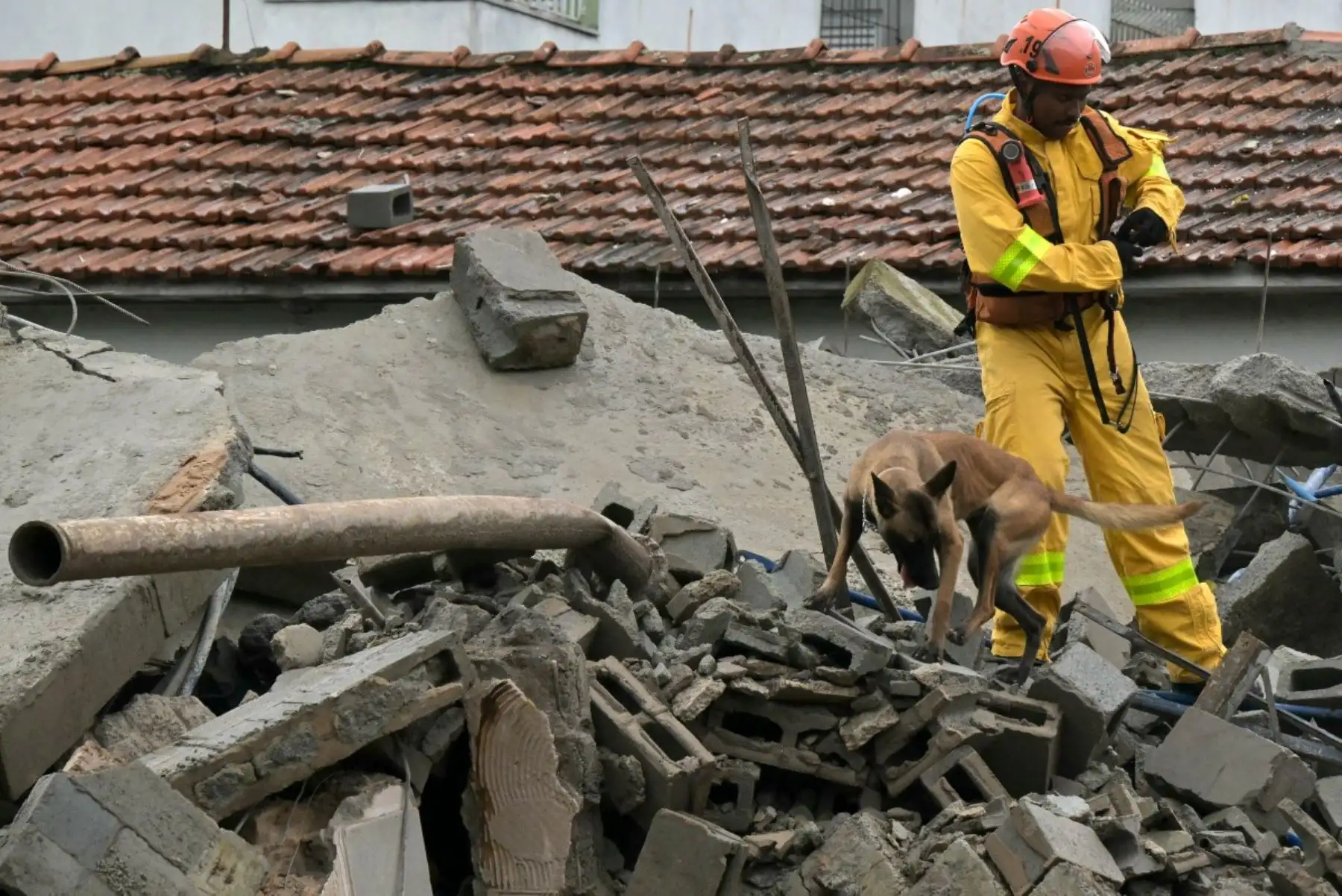 Un bombero acompañado de un perro rescatista trabaja en el lugar del derrumbe de un edificio en São Paulo, Brasil, el 12 de septiembre de 2026.
Dos mujeres fallecieron y unas ocho personas resultaron heridas. Foto: AFP