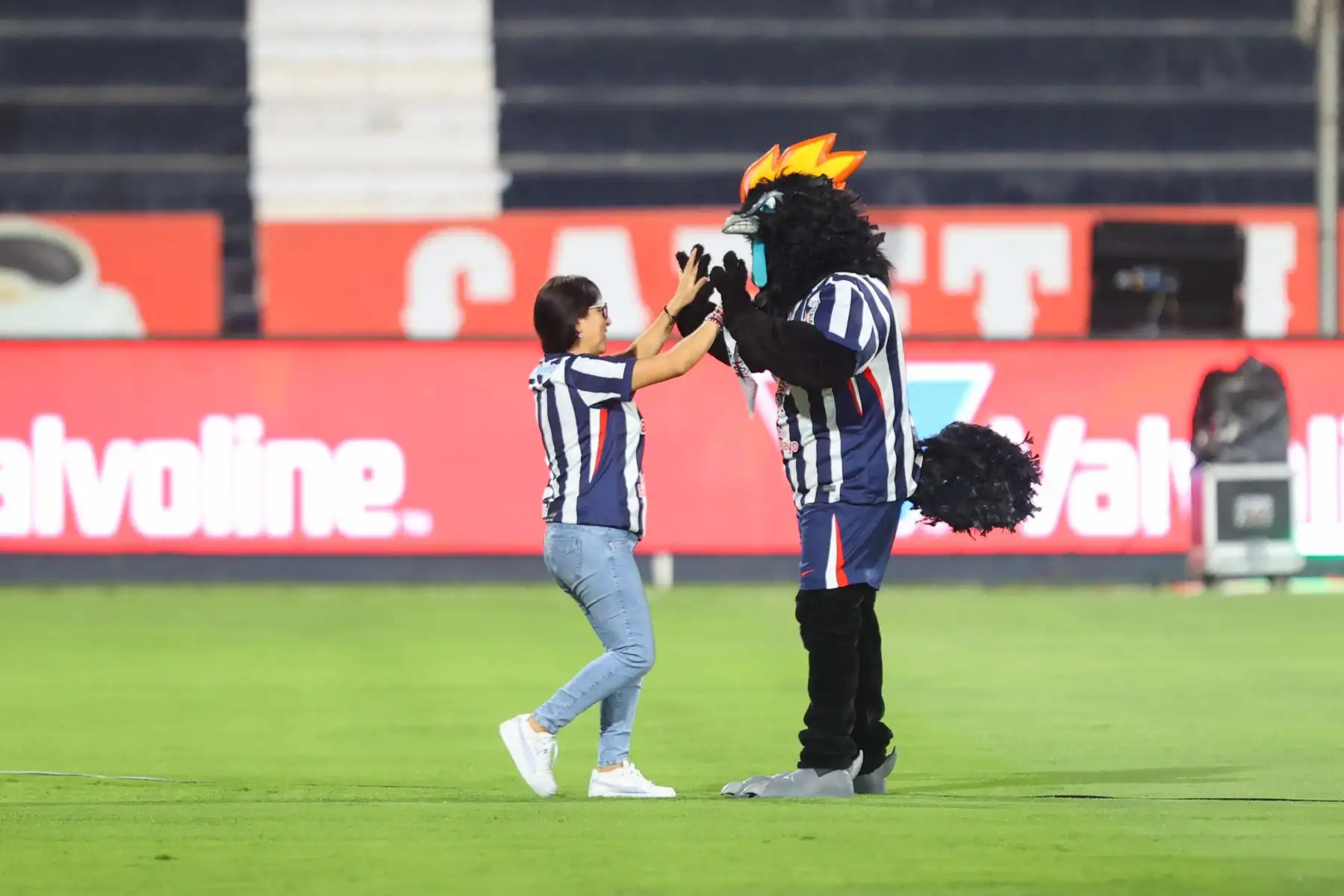 Hinchas de Alianza Lima asisten masivamente al estadio Alejandro Villanueva de La Victoria para alentar a su equipo momentos previos a disputarse el tradicional "Clásico" contra Universitario, por la fecha 9 del Torneo Clausura 2026 de la Liga 1, el sábado 12 de setiembre. Foto: ANDINA/Jhonel Rodríguez
