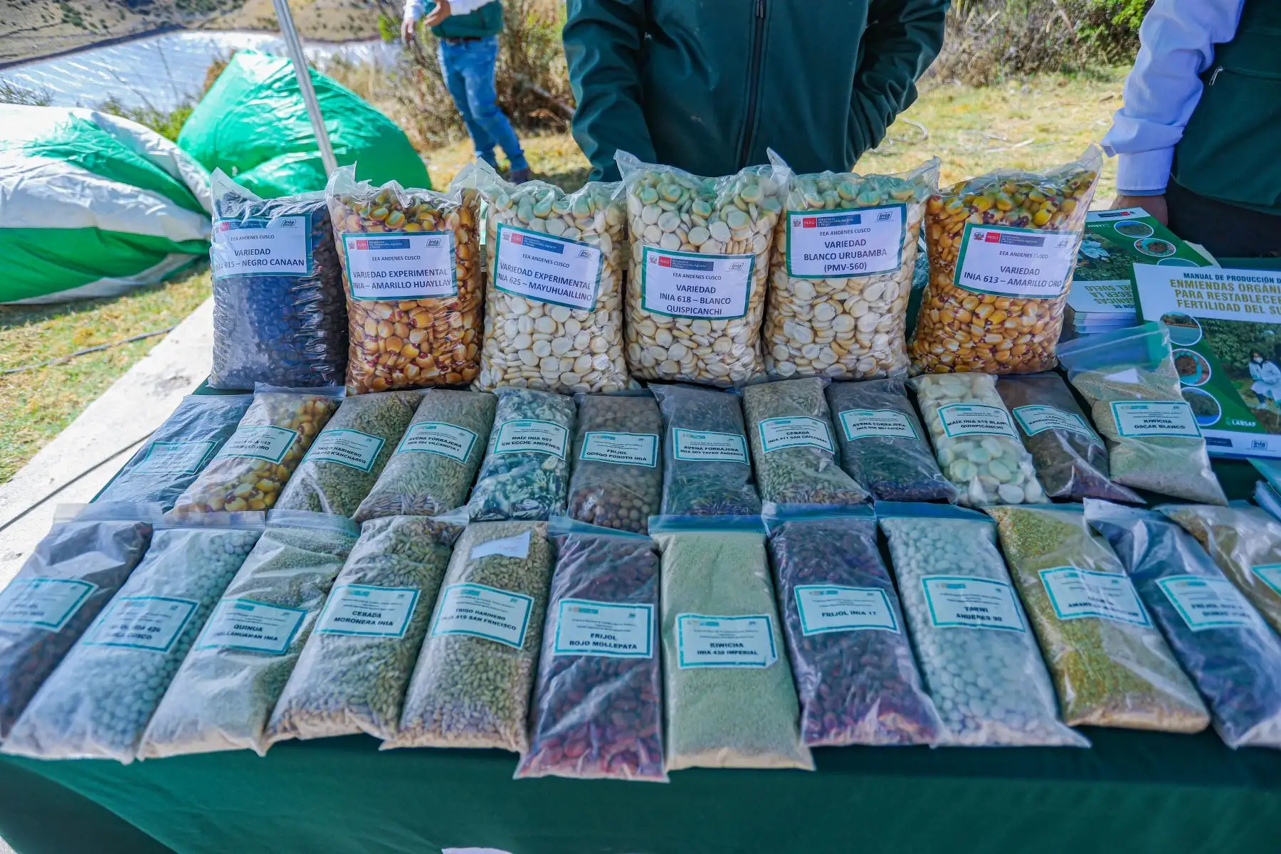 Presidenta Keiko Fujimori entregó apoyo a productores agrarios en el distrito de Paccaritambo, provincia de Paruro, Cusco
Foto: ANDINA/Prensa Presidencia