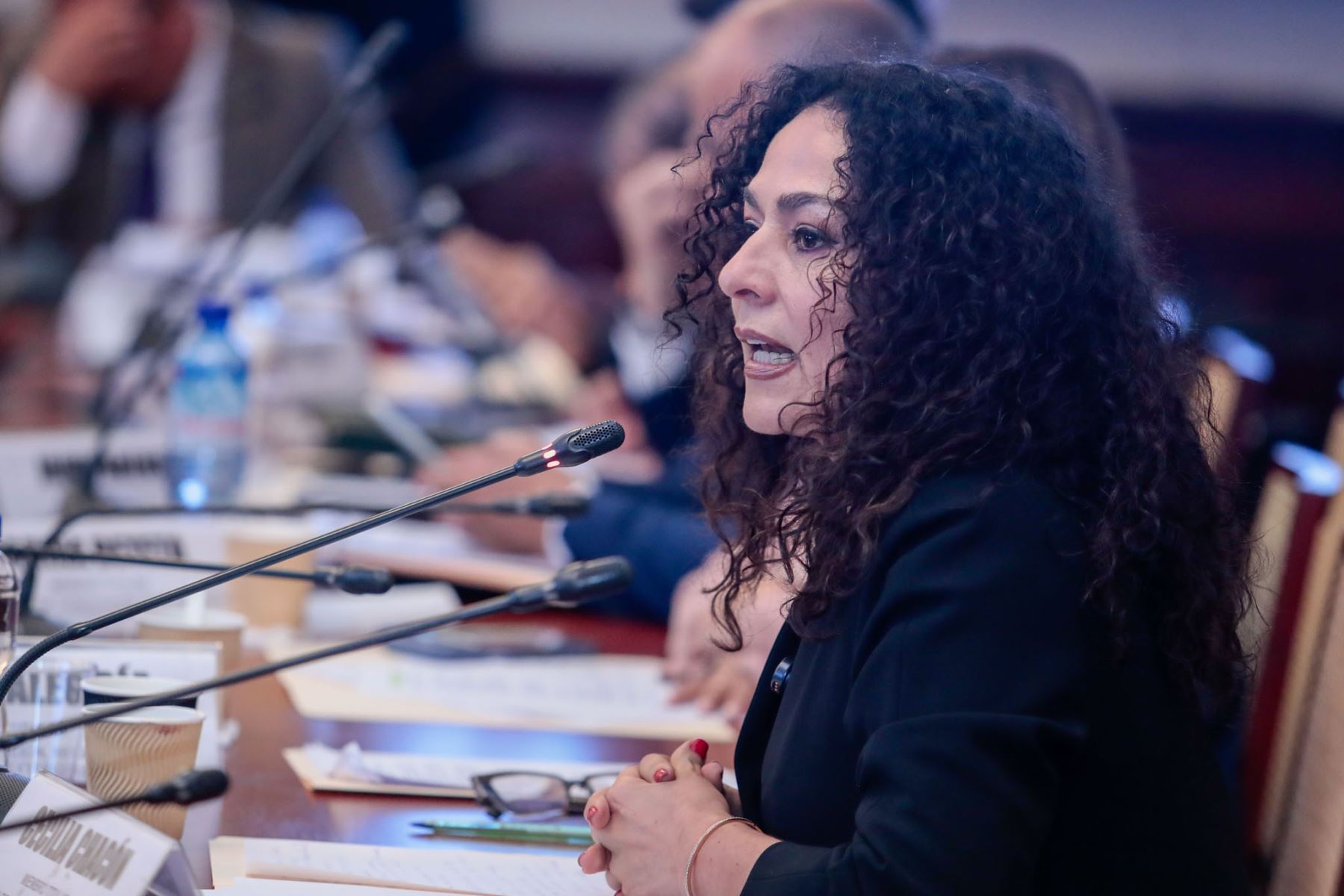 El ministro de Defensa, Rafael Belaúnde, sustentó ante la Comisión de Constitución de la Cámara de Diputados el pedido de facultades legislativas para el Poder Ejecutivo, durante una sesión en el Congreso de la República. Foto: ANDINA/Daniel Bracamonte.