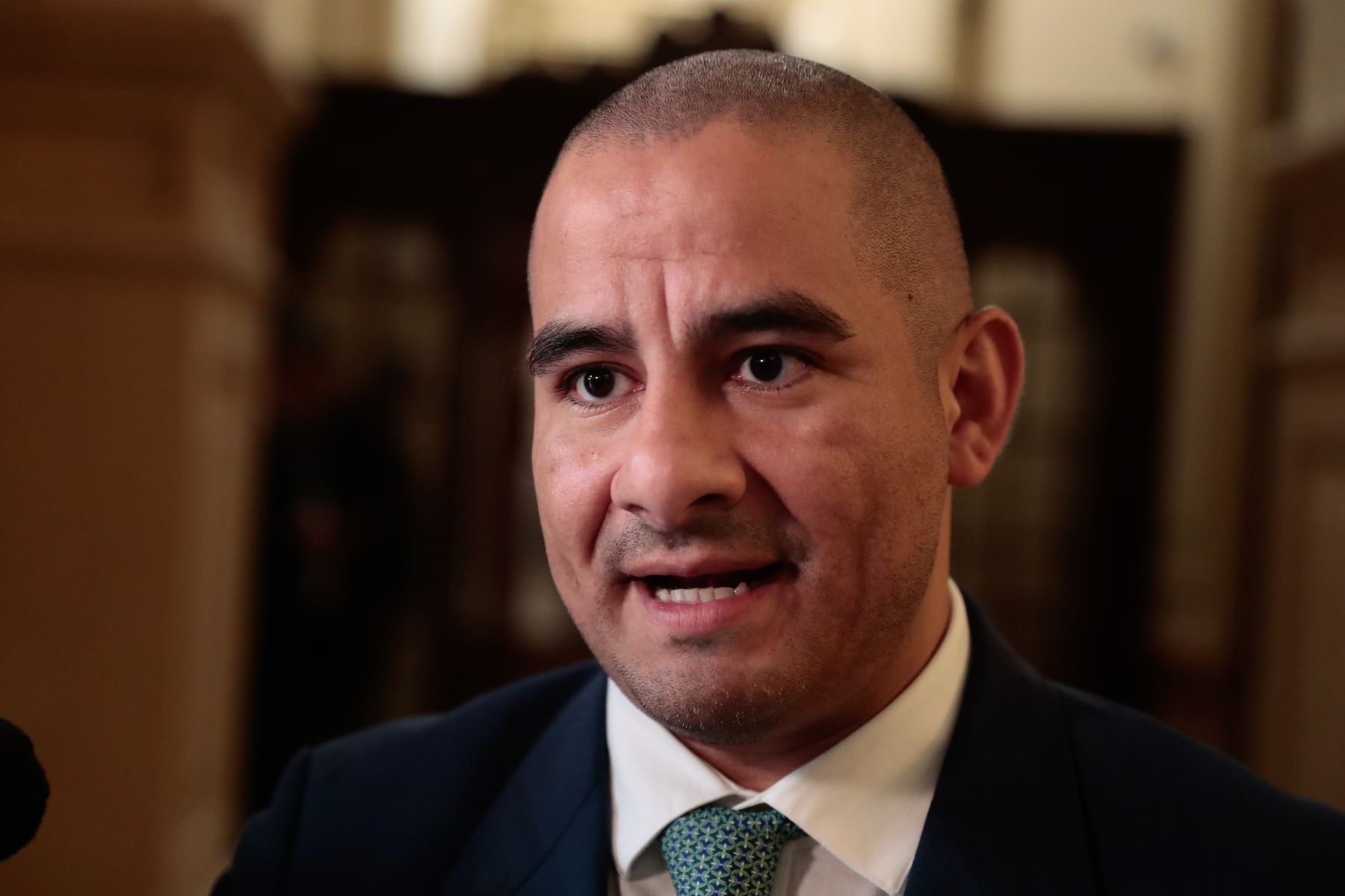 Alegría: facultades legislativas deberían debatirse directamente en pleno de Cámara Baja