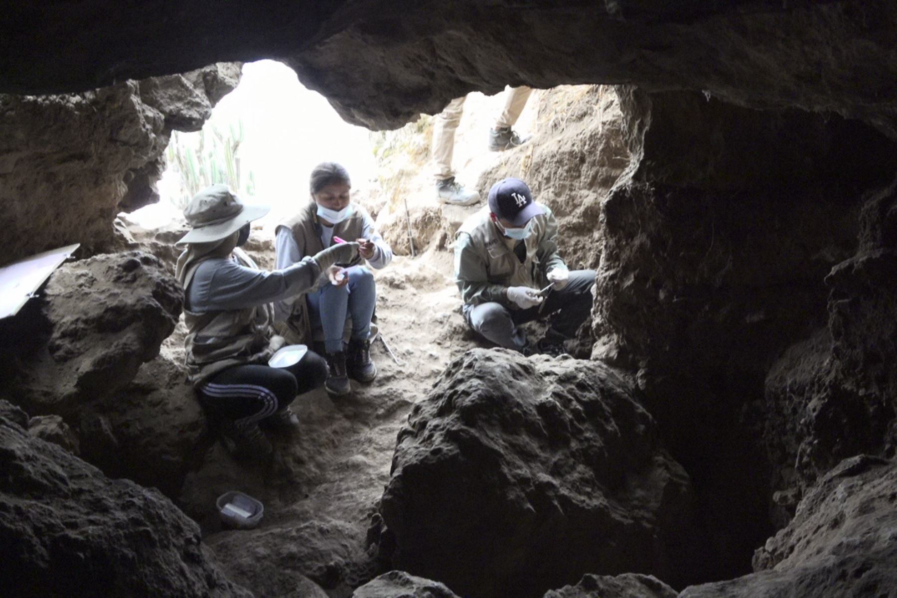 Investigaciones en la Cueva de Pikimachay, en Ayacucho, son encabezadas por el arqueólogo José Ochatoma

Foto: ANDINA/Difusión