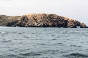 El mar de Paita registra una temperatura hasta en 7 °C por encima de lo normal para esta época del año, a causa del fenómeno El Niño. Foto: ANDINA