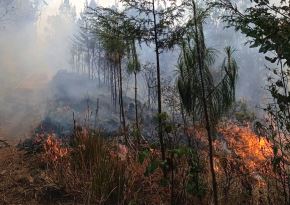 Agosto fue el mes que registró el mayor número de incendios forestales en la región Cajamarca. Los siniestros dejan hasta el momento una persona fallecida. ANDINA/Difusión