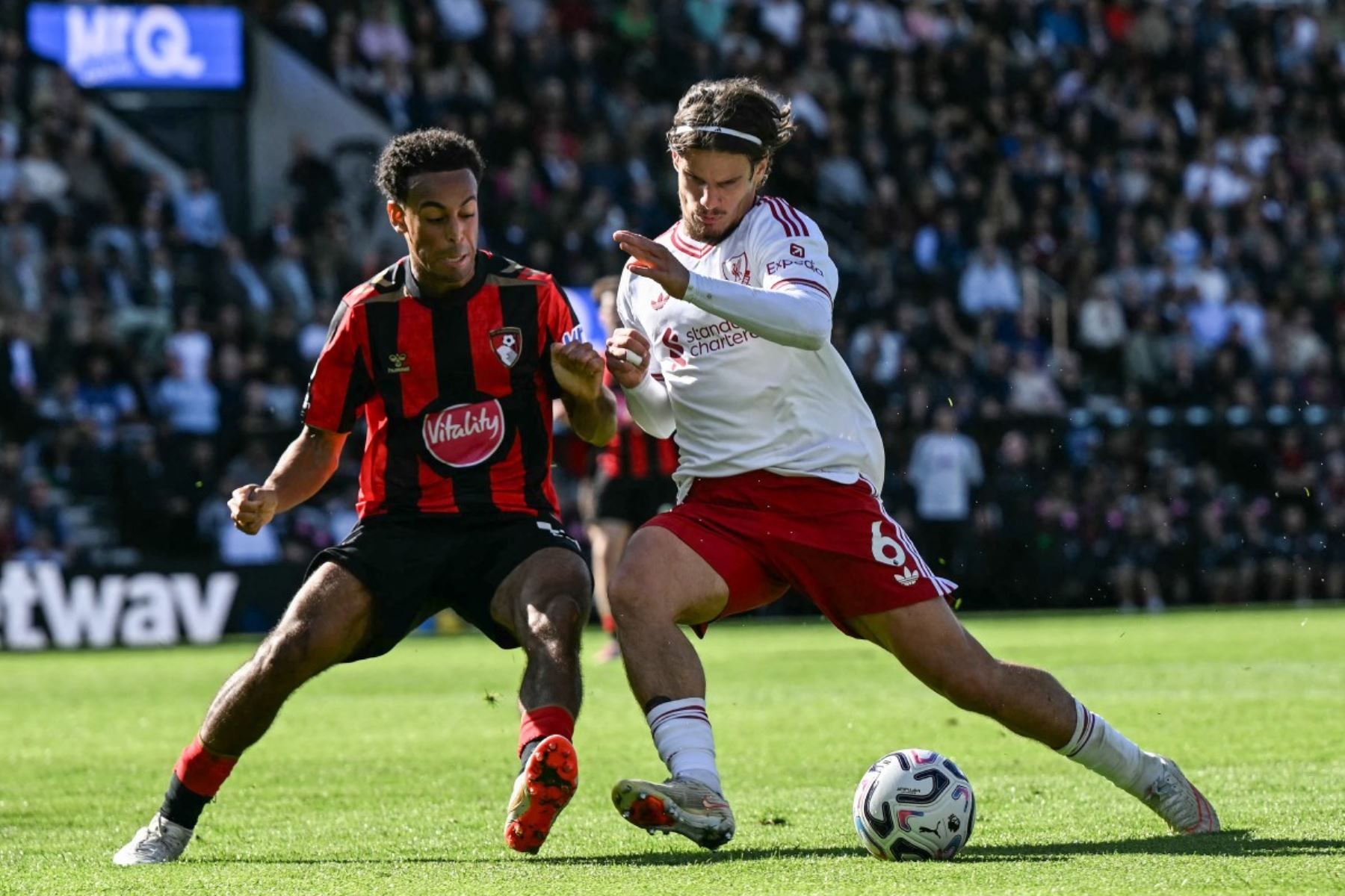 El centrocampista estadounidense del Bournemouth, Tyler Adams (n.º 12, izq.), choca con el defensa húngaro del Liverpool, Milos Kerkez (n.º 6, der.), durante el partido de la Premier League inglesa entre el Bournemouth y el Liverpool.
 Foto: AFP