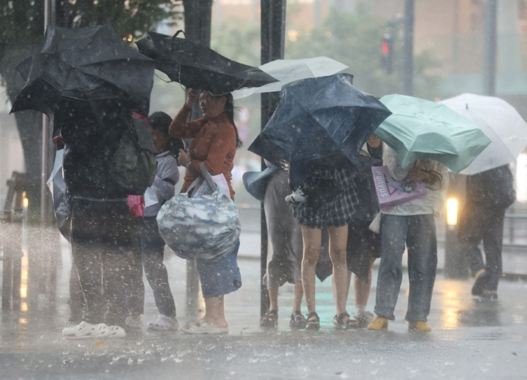 Personas caminan con paraguas bajo una fuerte lluvia mientras el tifón Dujuan se acerca en el distrito de Sumida, Tokio, Japón, el 21 de septiembre de 2026. Foto: AFP