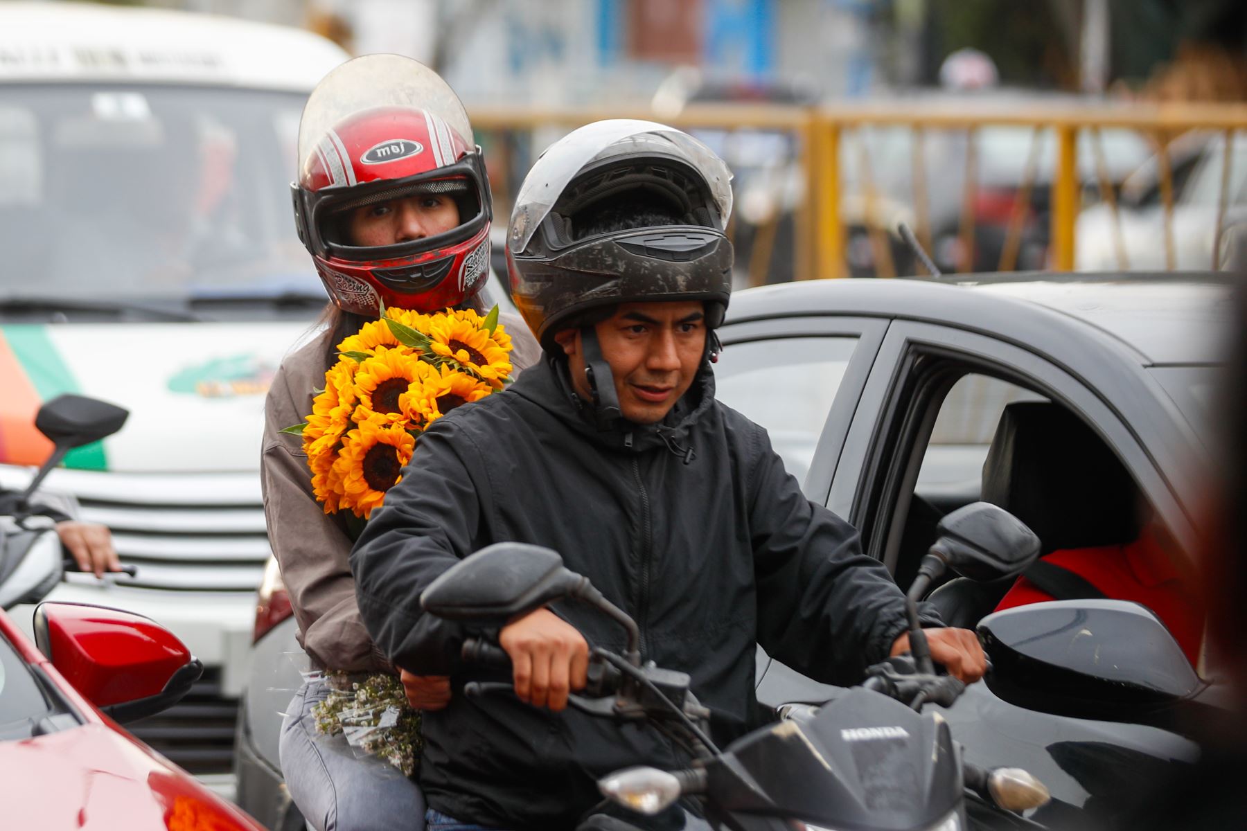 Regalar flores amarillas en esta fecha expresa cariño o amistad y, al mismo tiempo, pone en valor la labor de las familias productoras del país. Foto: ANDINA/Ricardo Cuba.