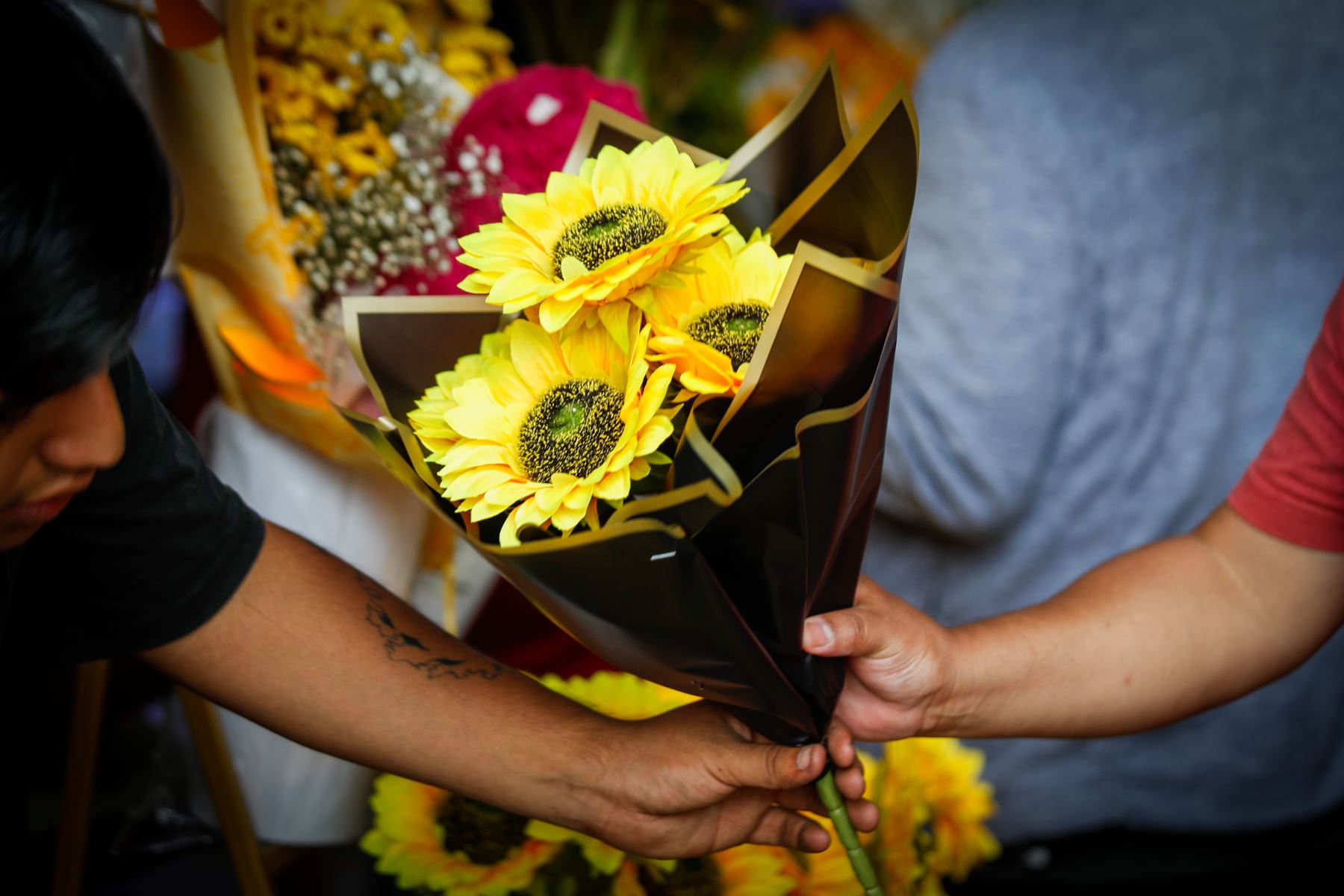 Según el Midagri, el cultivo de flores demanda entre 5 y 8 trabajadores por hectárea, y más del 50 % de esos puestos son ocupados por mujeres. Foto: ANDINA/Ricardo Cuba.