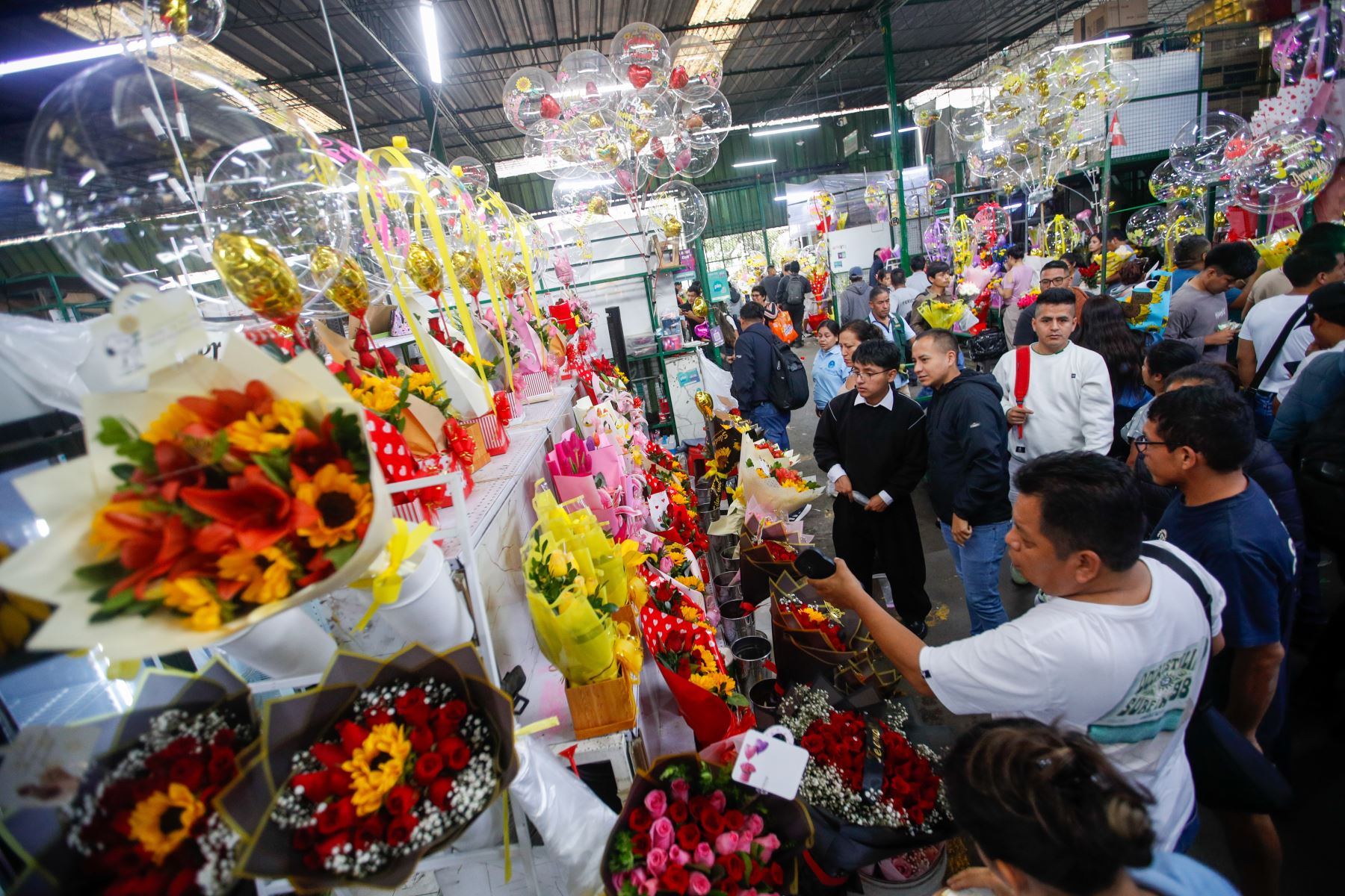Cientos de personas acuden al mercado de flores de Acho este 21 de setiembre para adquirir flores amarillas, una tradición moderna que da la bienvenida a la primavera y expresa alegría, amistad y buenos deseos. La demanda también permite valorar el trabajo de miles de familias productoras dedicadas a la floricultura en diversas regiones del país. Foto: ANDINA/Ricardo Cuba.