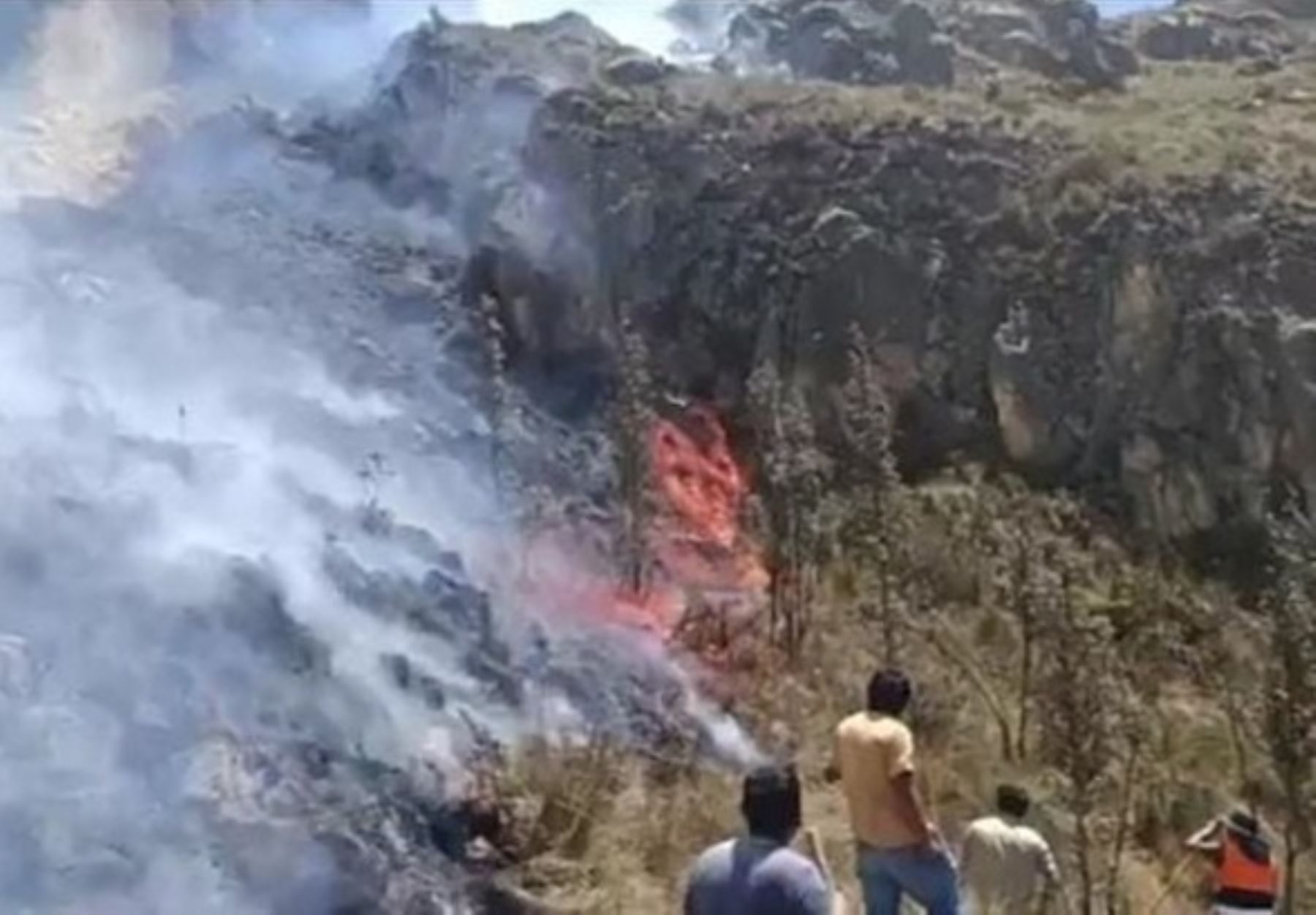 Pasco: incendio forestal arrasa con más de 10 hectáreas de pastizales y sembríos en Tápuc