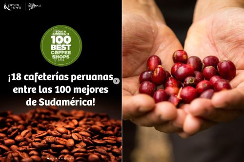 Las 18 cafeterías peruanas incluidas en el ranking están ubicadas en diversas regiones del país. Ilustración: ANDINA/Difusión