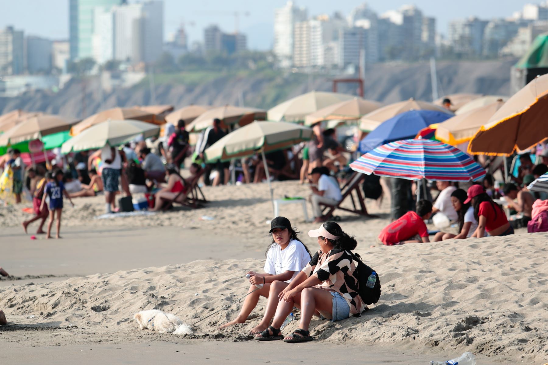 Limeños de todas las edades acudieron masivamente a la playa Agua Dulce de Chorrillos el sábado 26 de setiembre de 2026, en una coyuntura climática marcada por altas temperaturas que llegan hasta los 29 grados centígrados desde la mañana hasta el atardecer, debido a la llegada inminente del Fenómeno El Niño en los próximos meses. Foto: ANDINA/Daniel Bracamonte