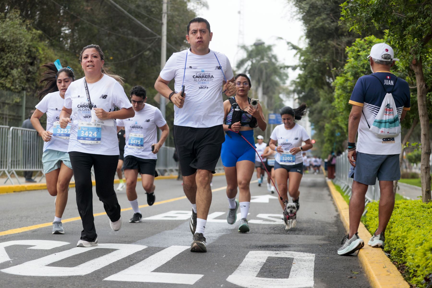 Corredores y familias se congregan desde las 6:00 a. m. en el Parque Miguel de Cervantes para iniciar la carrera Gánale la Carrera al Cáncer 10K & 5K. Foto: ANDINA/Vidal Tarqui