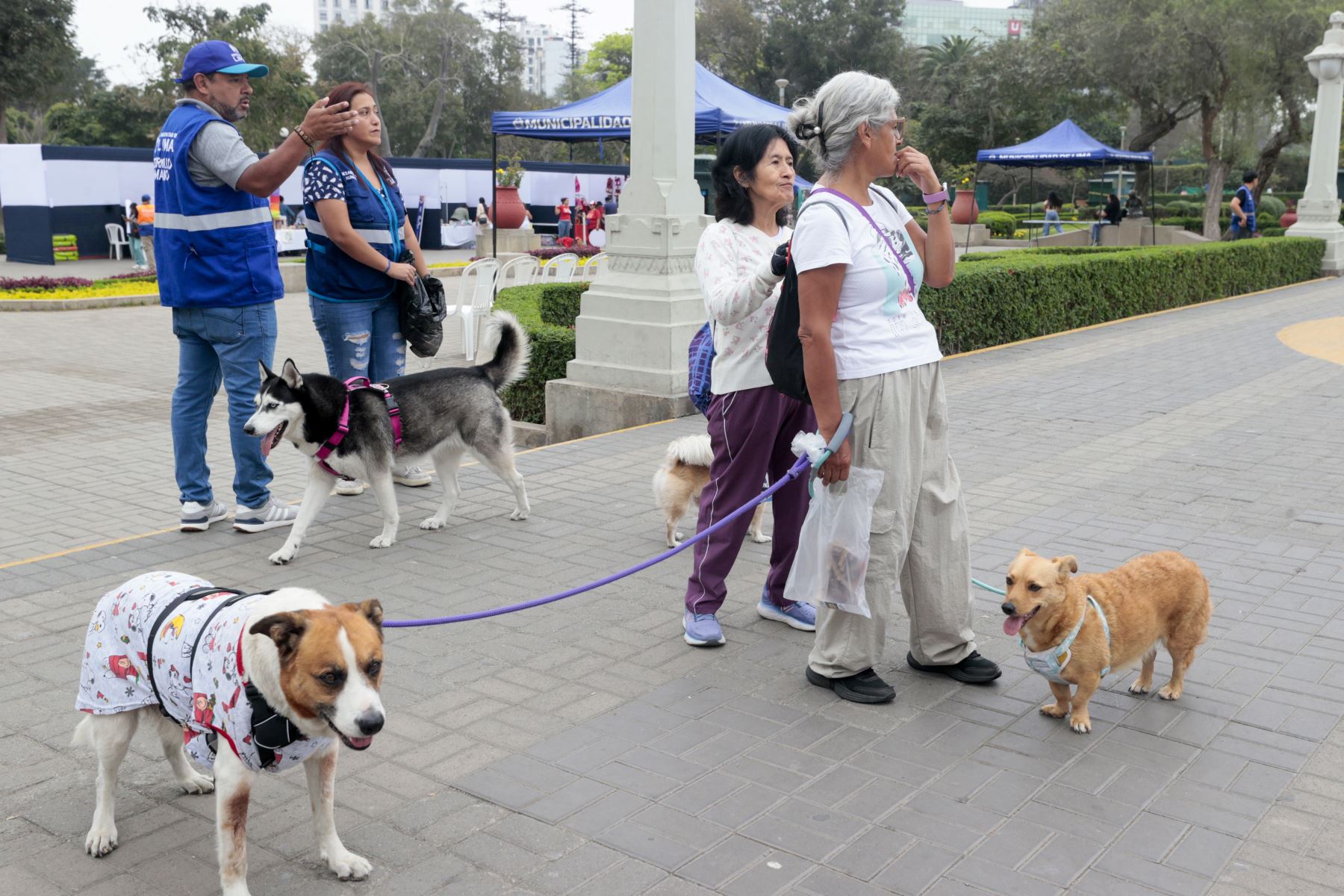 Animales de compañía de todas las edades recibieron la tradicional bendición de mascotas en un ambiente de fiesta familiar.Foto: ANDINA/ Vidal Tarqui