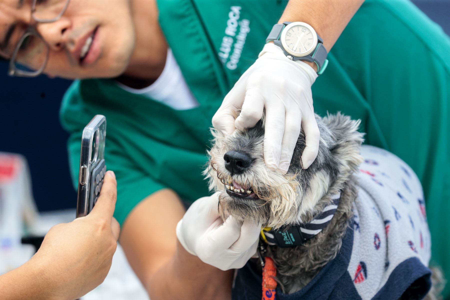 Medicos veterinarios brindaron consultas gratuitas en áreas como dermatología, cardiología, oftalmología y ecografía para evaluar la salud integral de los animales. Foto: ANDINA/ Vidal Tarqui