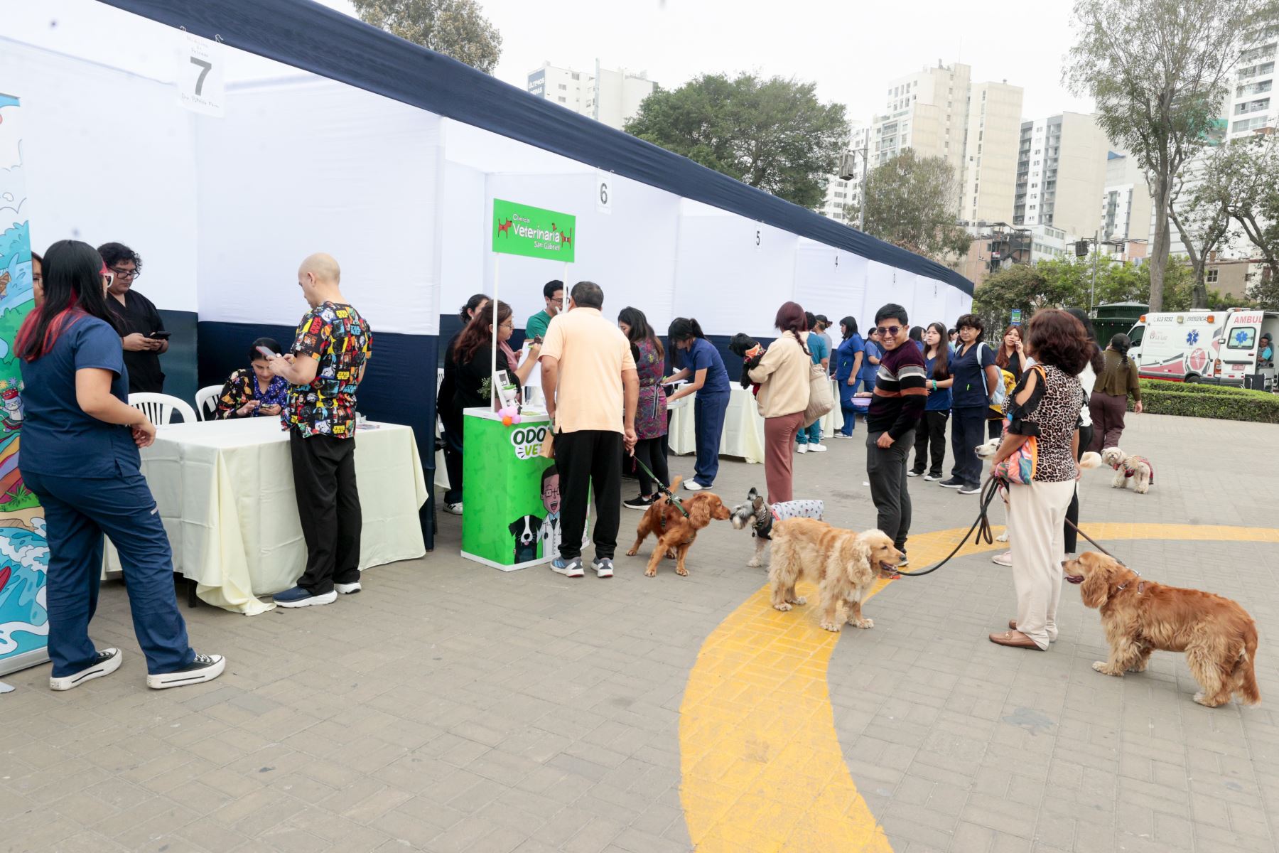 Cientos de vecinos y sus mascotas se congregaron en el Circuito Mágico del Agua para ser parte del lanzamiento de la campaña «Lima: actúa por sus vidas». Foto: ANDINA/ Vidal Tarqui