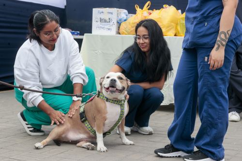 Compromiso con el bienestar animal: Así se vivió la jornada de adopción y atención veterinaria gratuita en Lima