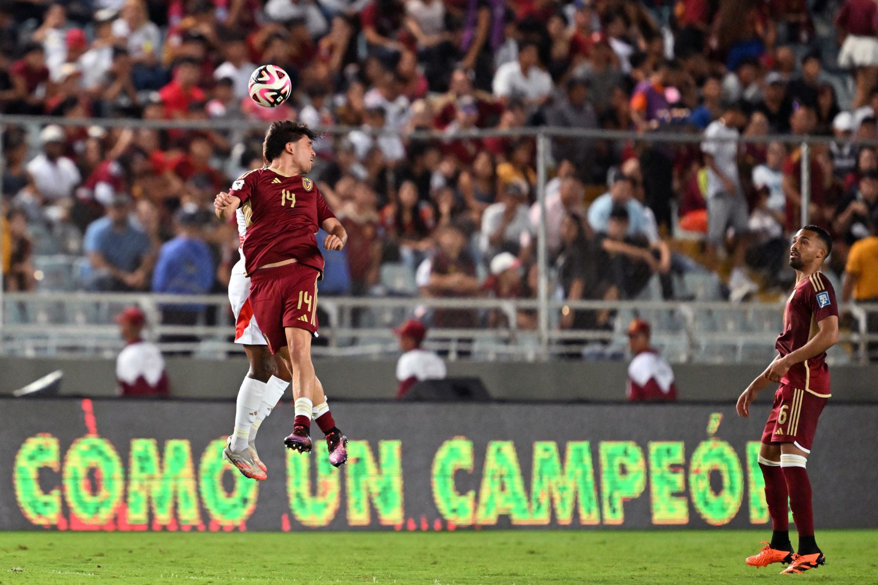 Japón vs. Venezuela: Día y hora del partido amistoso de la Vinotinto en Hiroshima