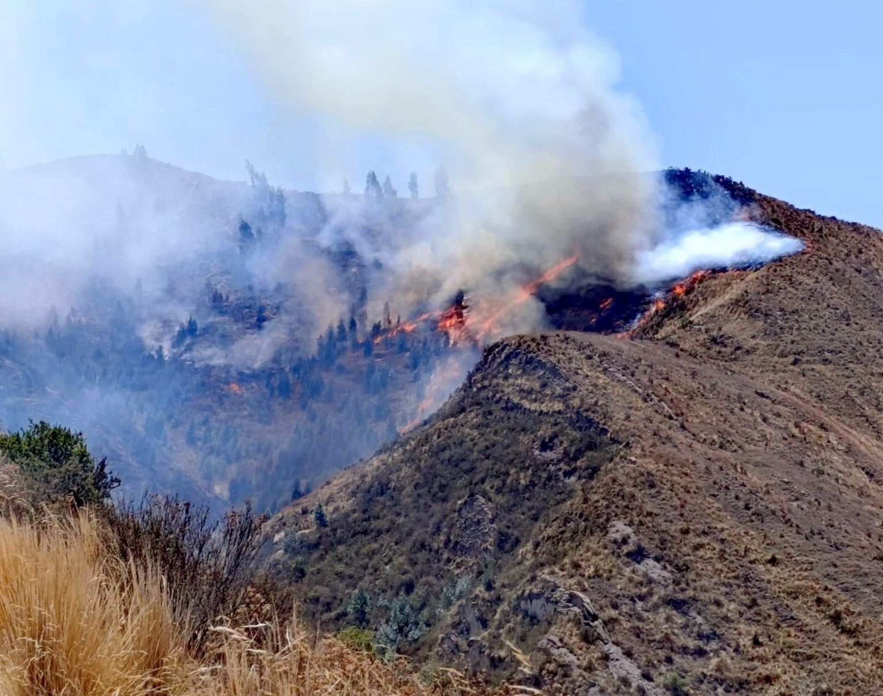 Cusco: incendio forestal causa graves quemaduras a dos hermanos en distrito de Pomacanchi