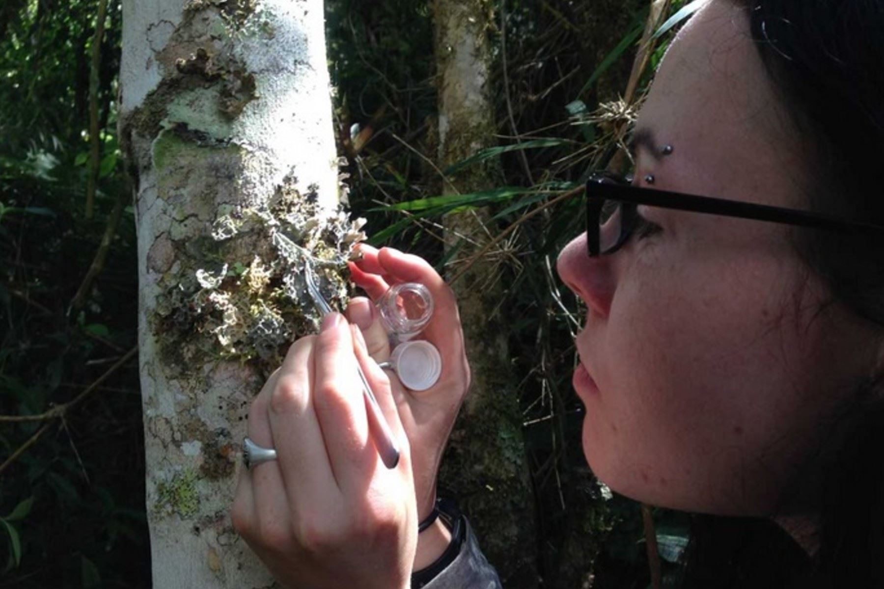 Investigadores anuncian siete tours para aprender ciencia en el bosque nuboso de Oxapampa
