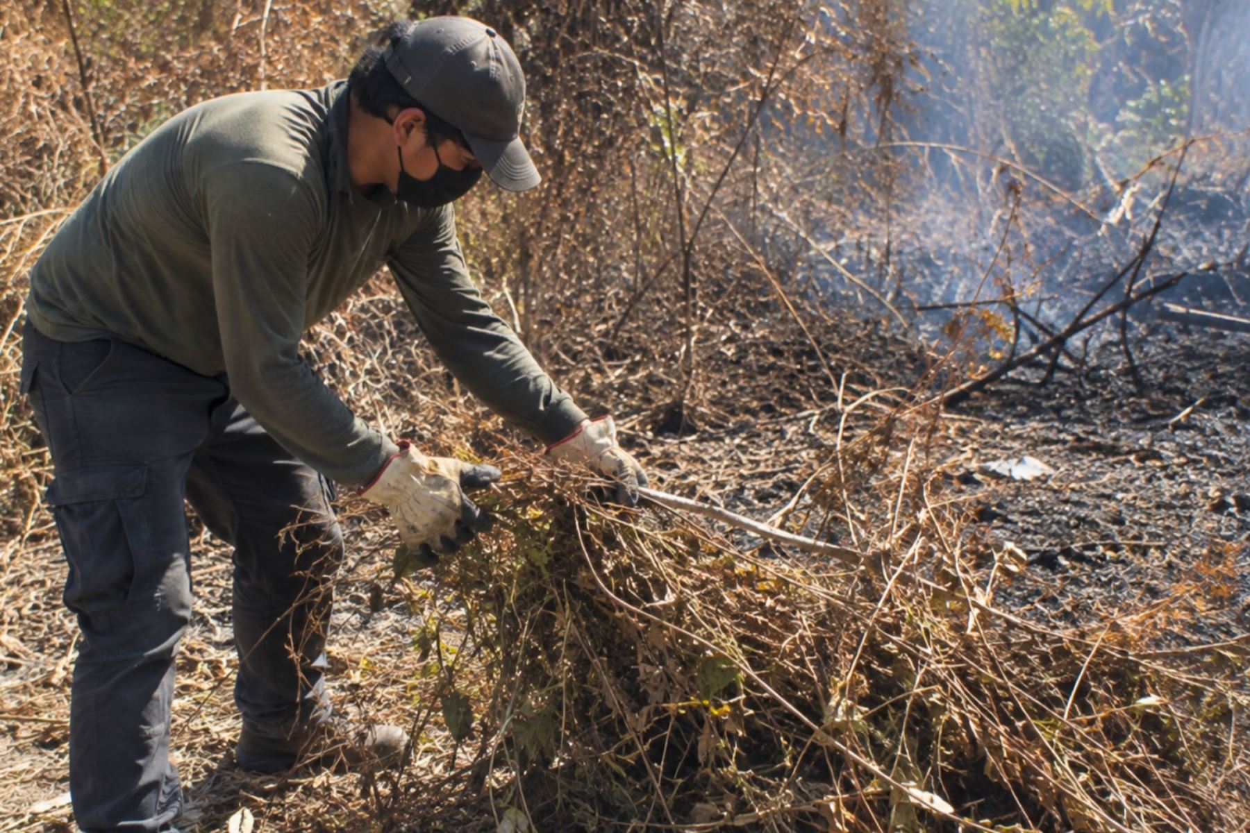 IIAP: una quema agrícola puede desatar un incendio forestal y arrasar grandes extensiones
