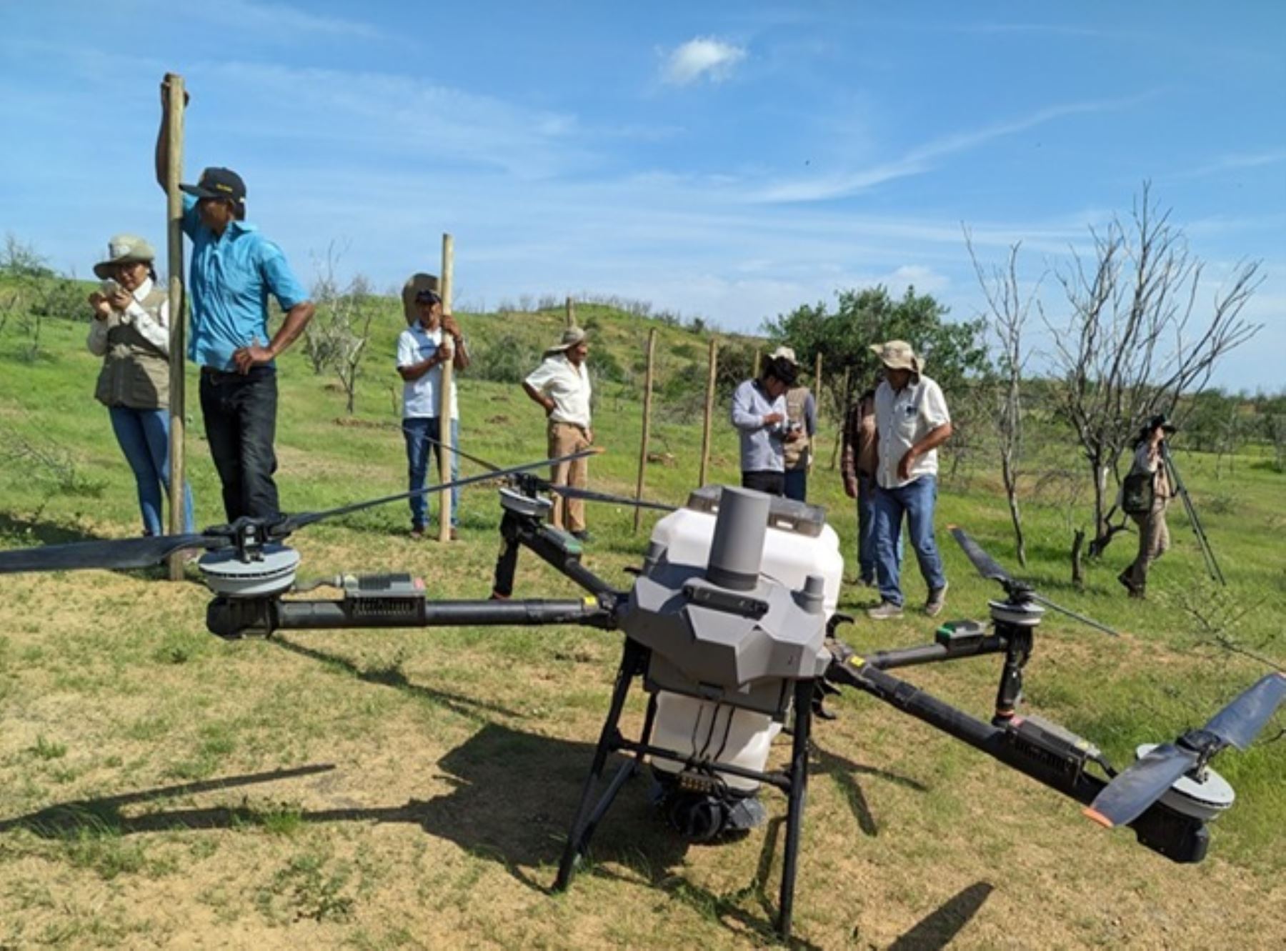 Piura plantea restaurar 15,000 ha de bosque seco con siembra de algarrobo mediante drones