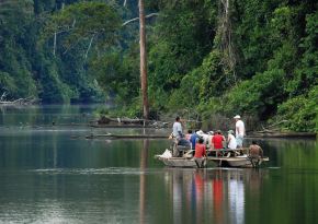 La mayoría de visitantes que recibe el Parque Nacional del Manu y la Reserva de Biósfera del Manu son turistas extranjeros que arriban para disfrutar de la gran biodiversidad de esta área natural protegida. ANDINA/Difusión