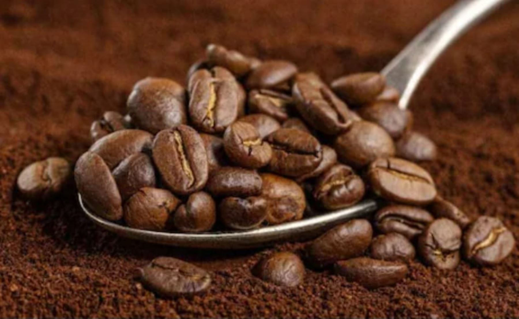 Mincetur: el 59% de las empresas peruanas que exportan café son mipymes