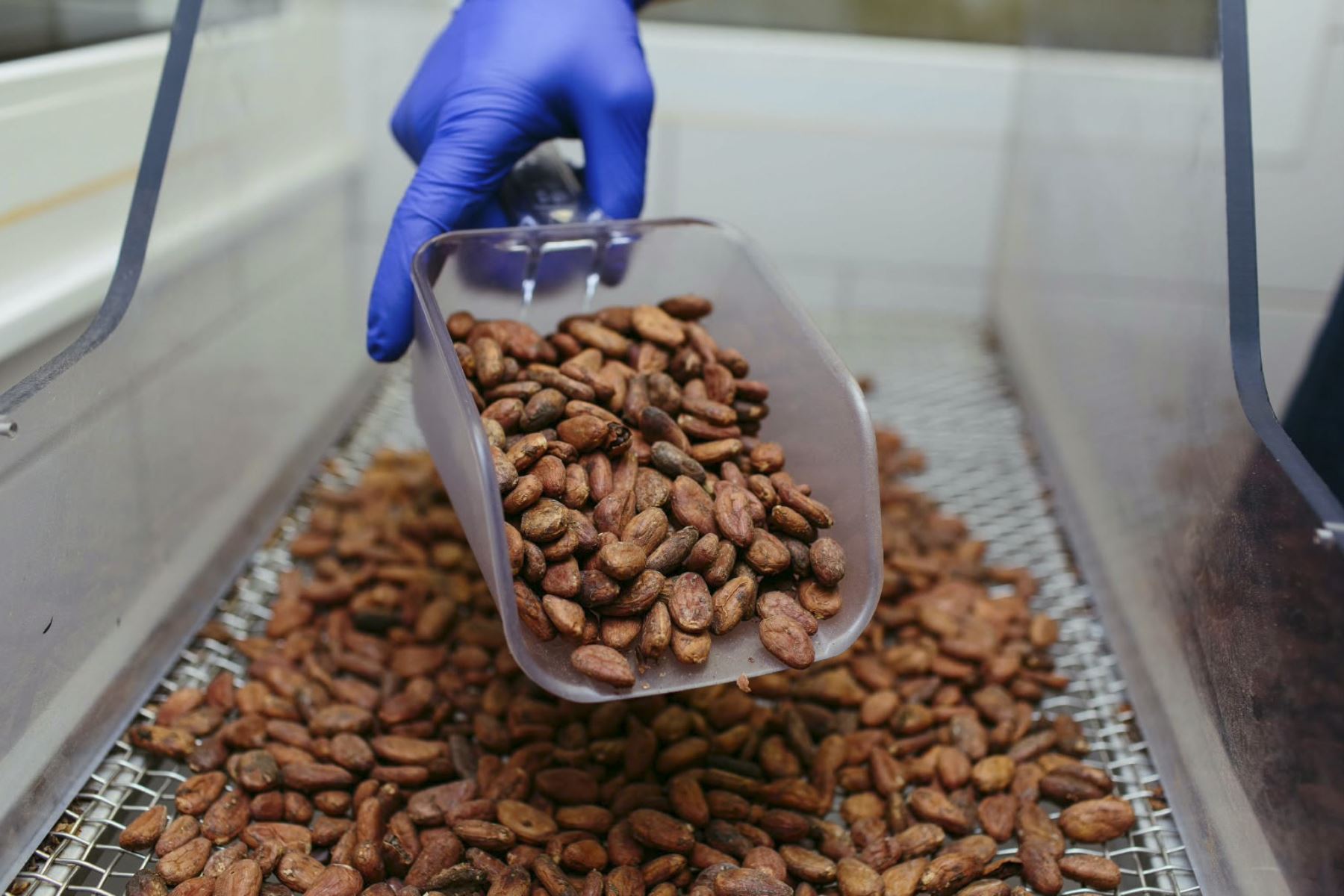 Promperú conecta la oferta de cacao peruano con compradores internacionales en Cusco