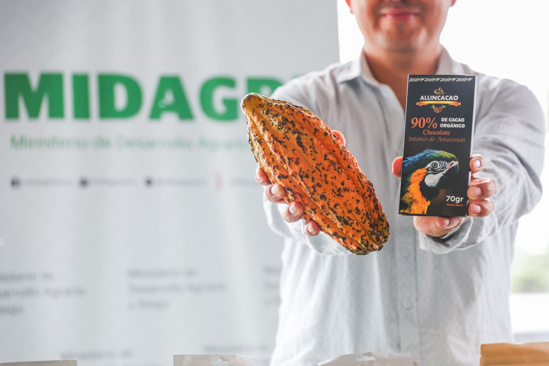 El Perú destaca en el mercado internacional por su producción y exportación de cacao y derivados, una actividad vinculada al trabajo de productores de diversas regiones del país. Foto: ANDINA/Difusión.