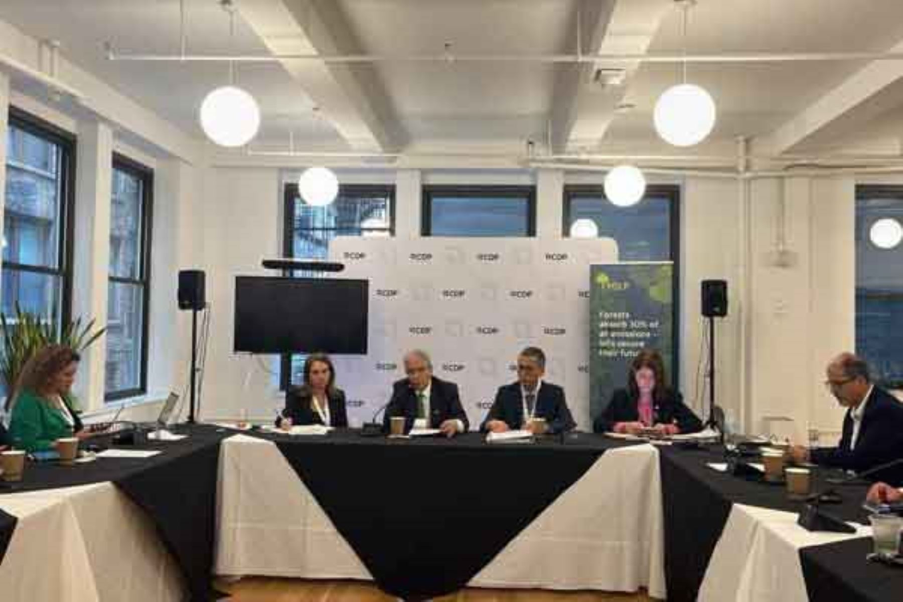 Perú impulsa mercados de carbono con potencial para movilizar US$ 250 millones al 2030