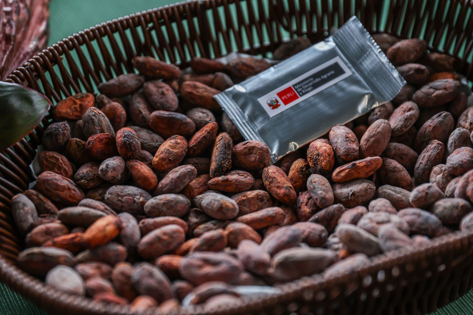 Los granos constituyen la materia prima para la elaboración de chocolates y otros derivados que forman parte de la oferta agroexportadora del Perú. Foto: ANDINA/Difusión.