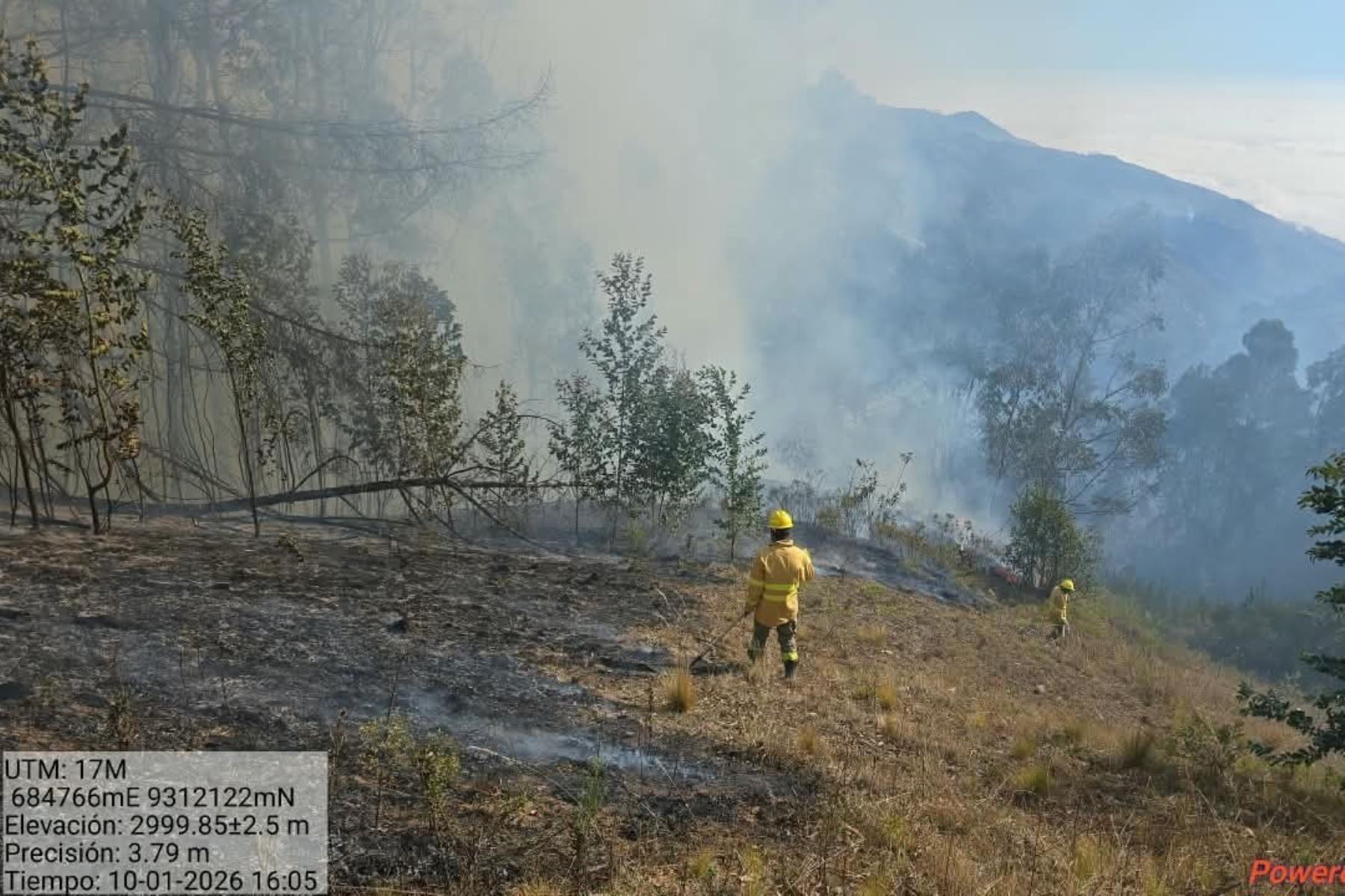 Indeci: extinguen 4 incendios forestales en Puno, Arequipa, Cusco y Ayacucho