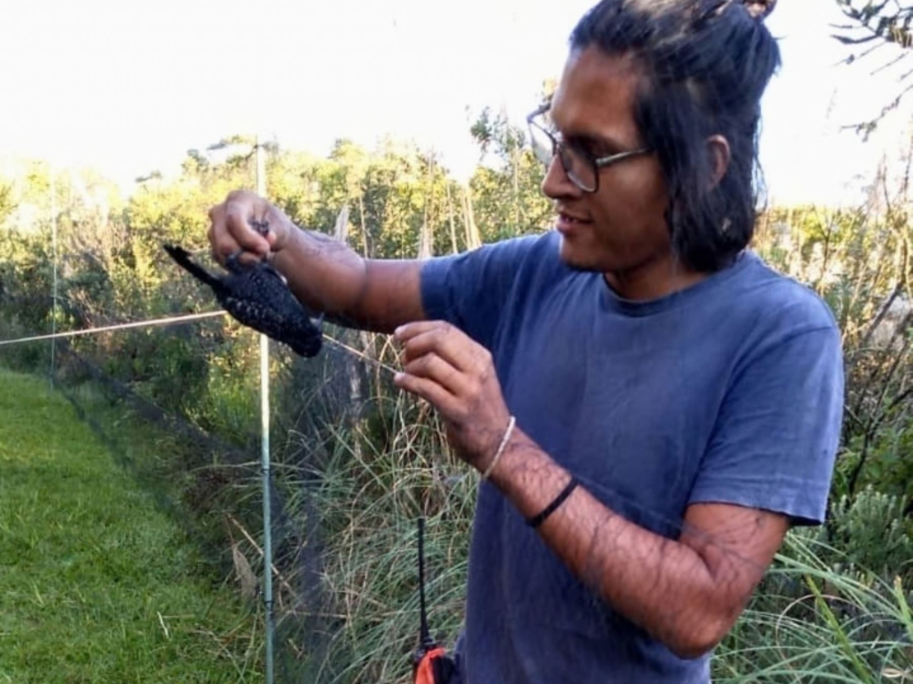 Investigador del IIAP estudia cómo las aves contribuyen a la regeneración de los bosques