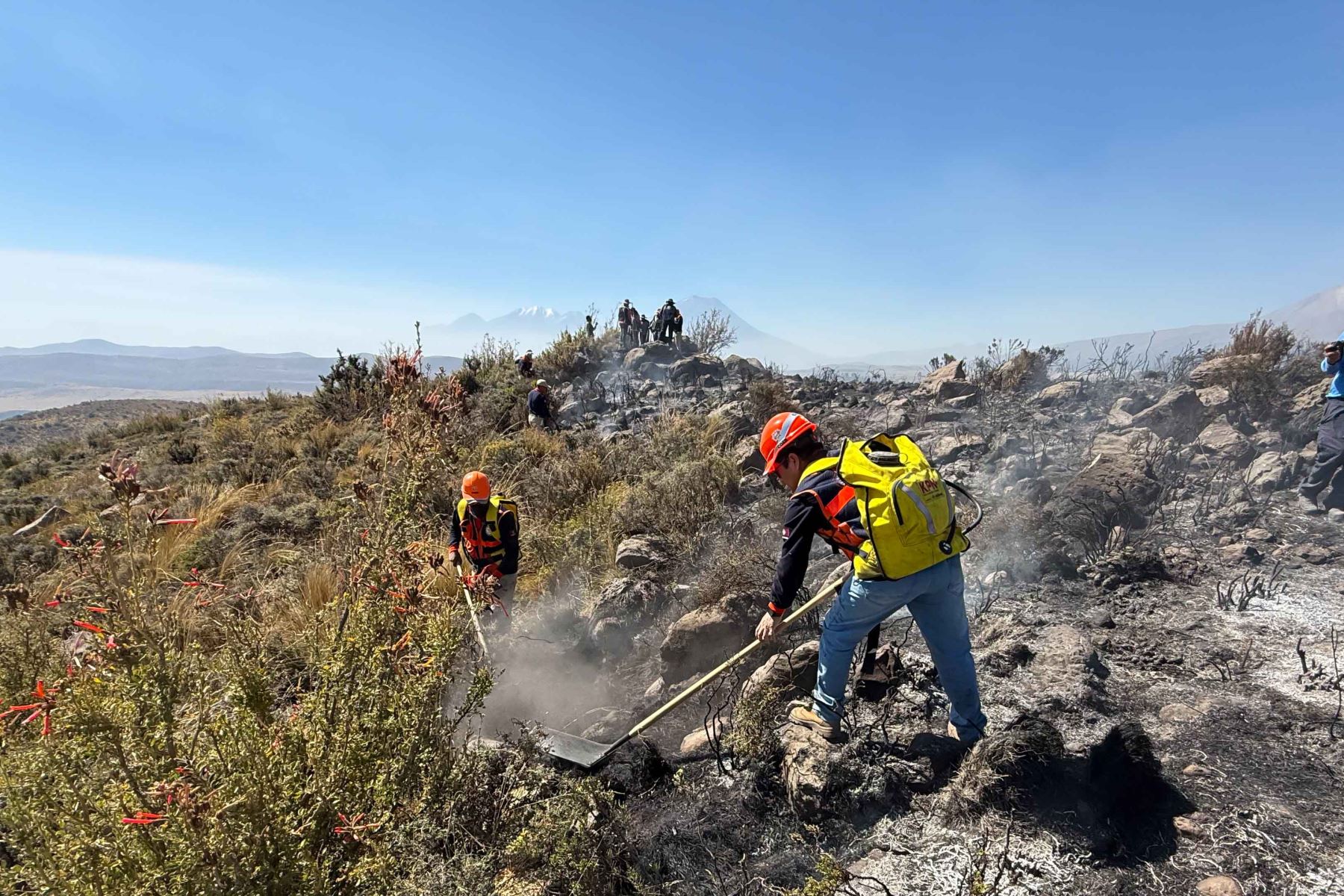 Arequipa: controlan incendio forestal en Pocsi, pero afectó unas 300 hectáreas de pastos