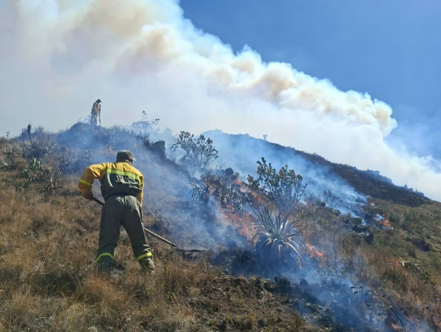 Incendio forestal en Áncash: fuego obliga a restringir visitas a la quebrada Llanganuco