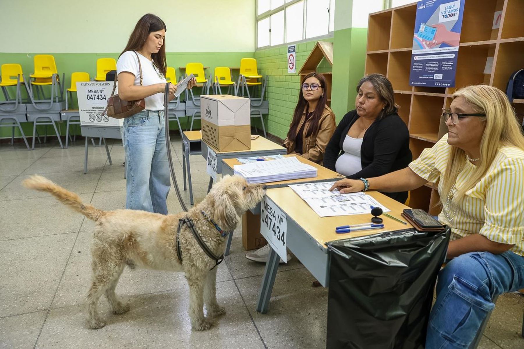 Ciudadanos de San Isidro acuden a cumplir con su voto acompañados de sus mascotas durante las Elecciones Regionales y Municipales 2026. Foto:ANDINA/Luis Iparraguirre