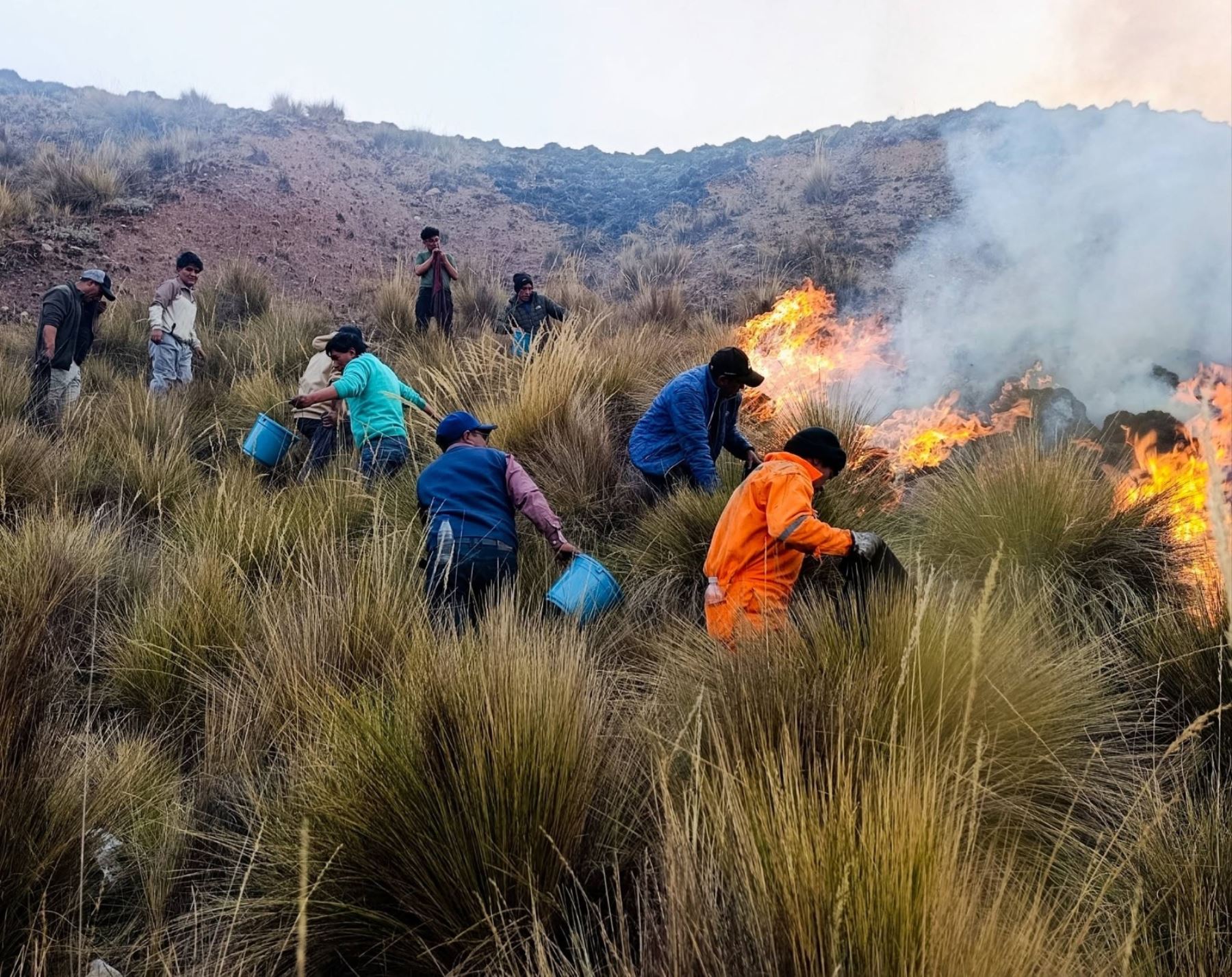 Pasco: incendio forestal arrasa cobertura natural cerca del Bosque de Piedras de Huayllay