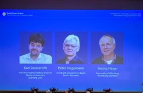 Nobel de Medicina 2026: Deisseroth, Hegemann y Nagel ganan por revolucionar neurociencia.