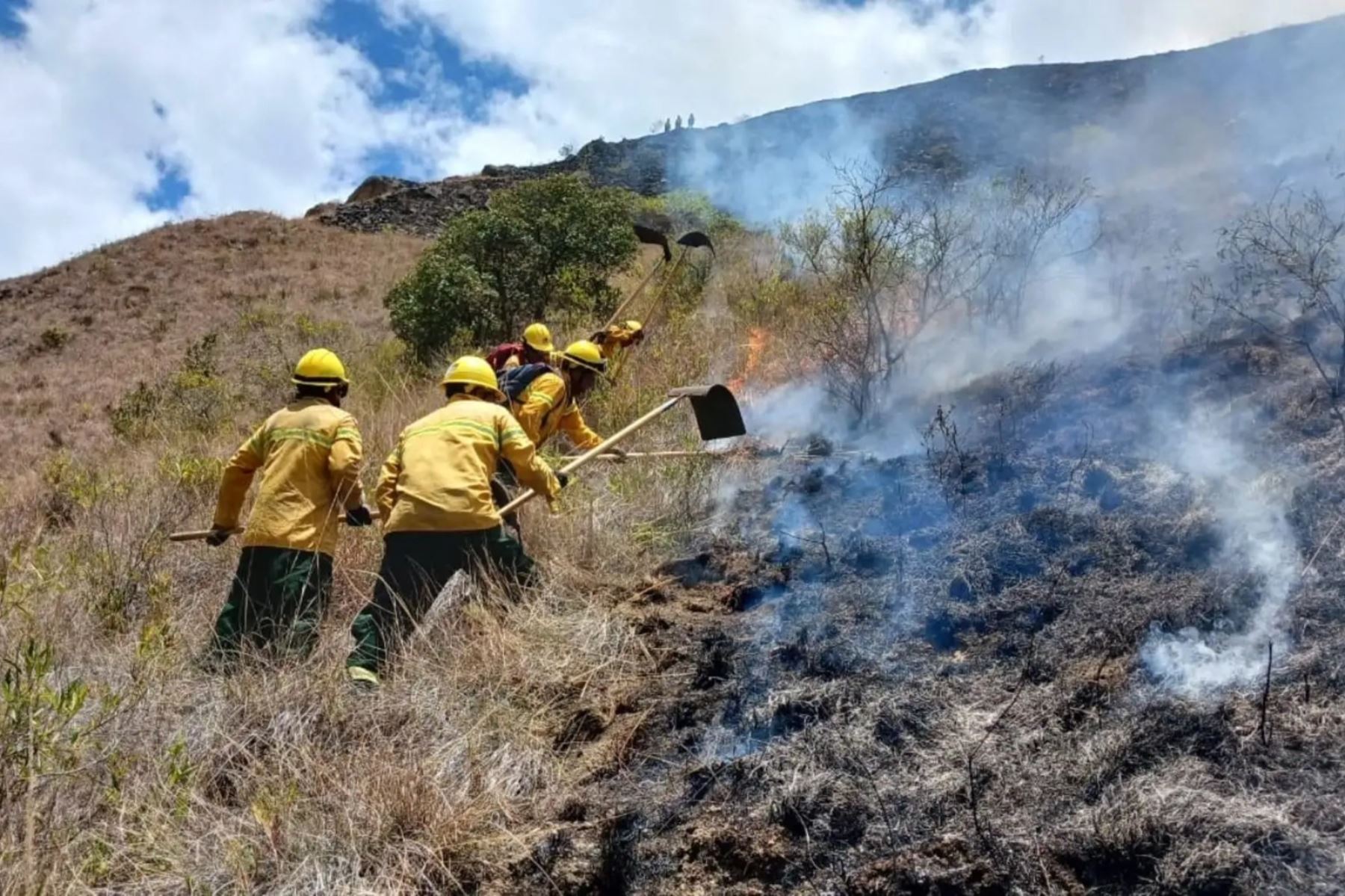 Extinguen cuatro incendios forestales en tres regiones y en la provincia de Huarochirí