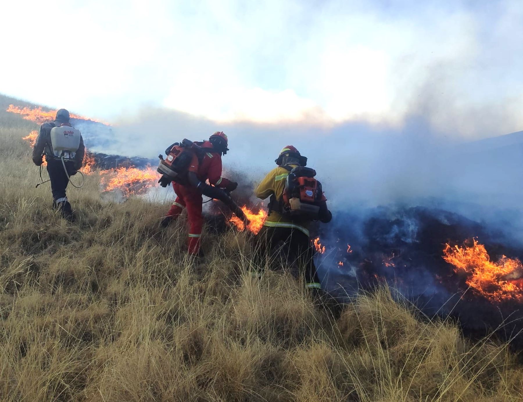 Espinar en emergencia: incendios forestales arrasan pastizales y causan muerte de animales