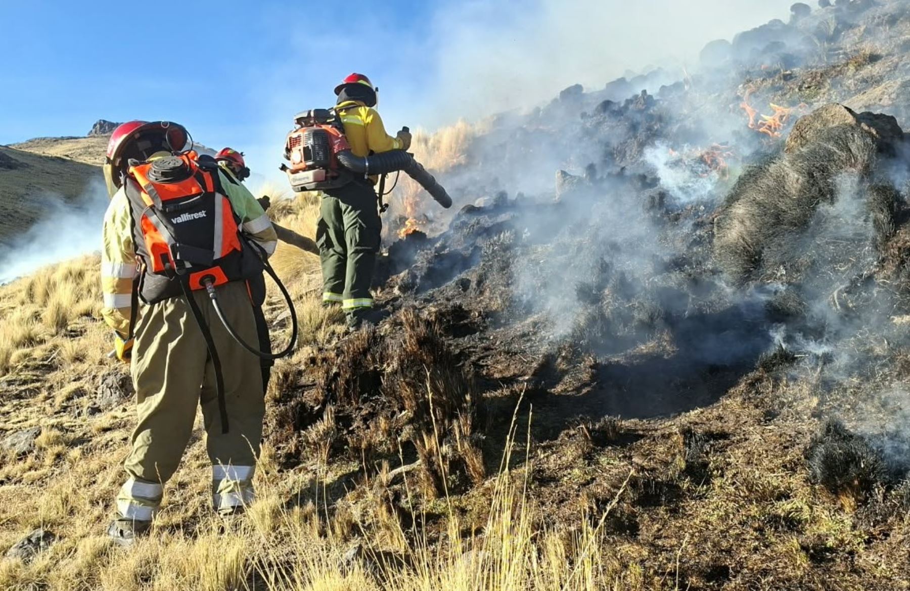 Incendios forestales suman 187 en la región Áncash en lo que va del 2026