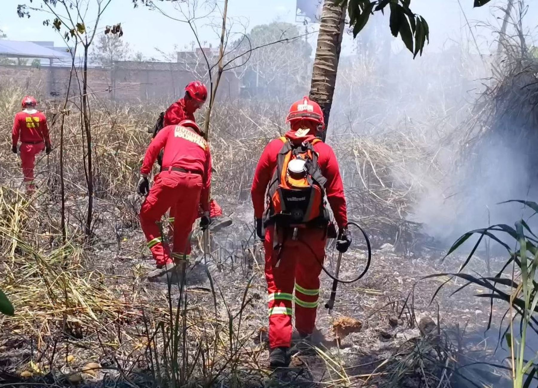 San Martín: bomberos de Tarapoto atienden hasta cuatro incendios forestales al día