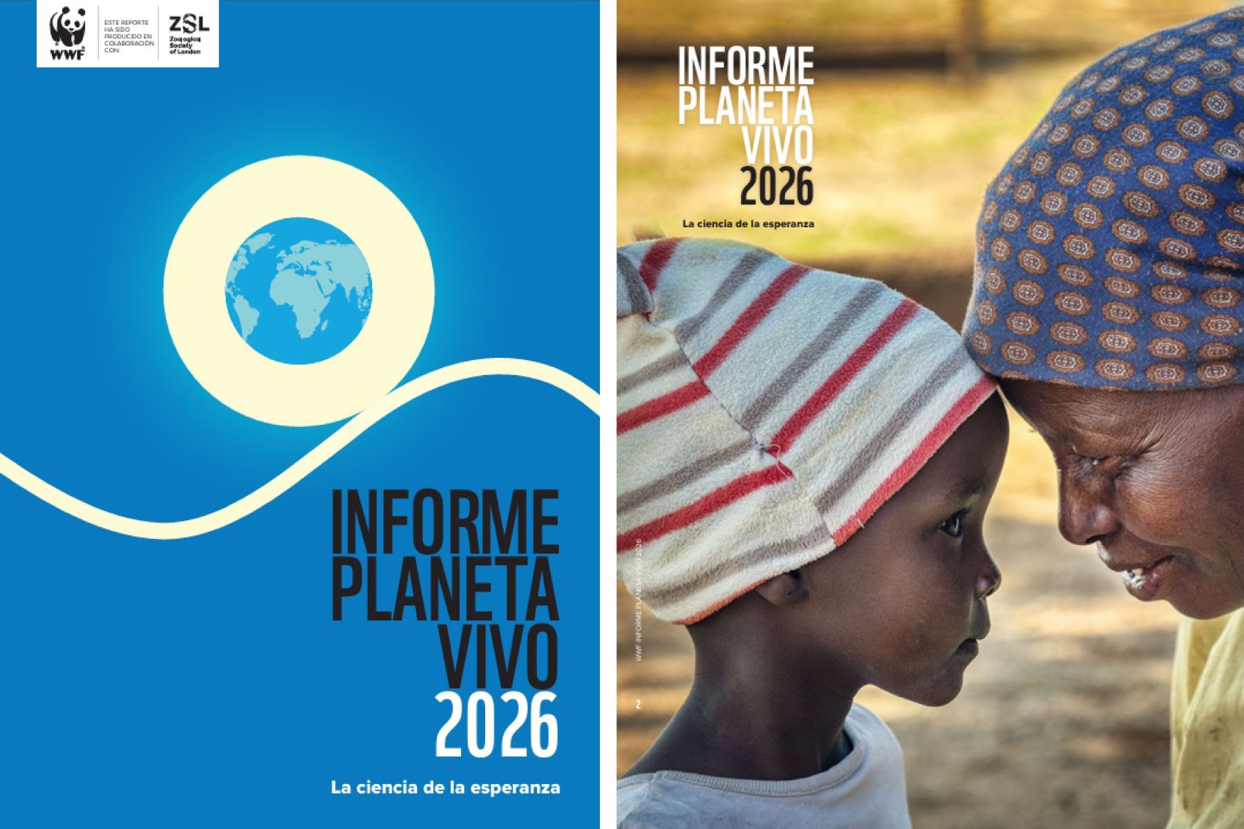 Informe Planeta Vivo 2026: población de vertebrados silvestres disminuyó 73 % desde 1970