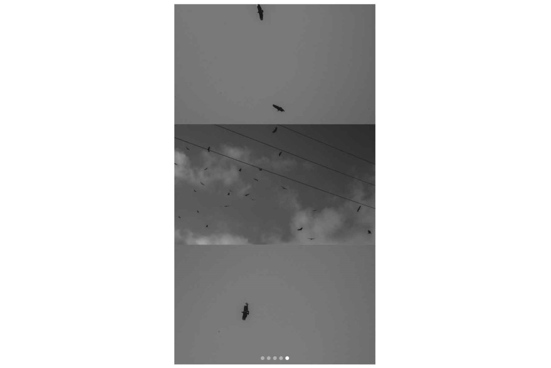 La afición fotográfica del cantante se refleja en imágenes de carácter paisajístico, donde el cielo, el agua y la vegetación forman parte de su registro de Lima. Foto: ANDINA/Redes sociales de Jungkook.