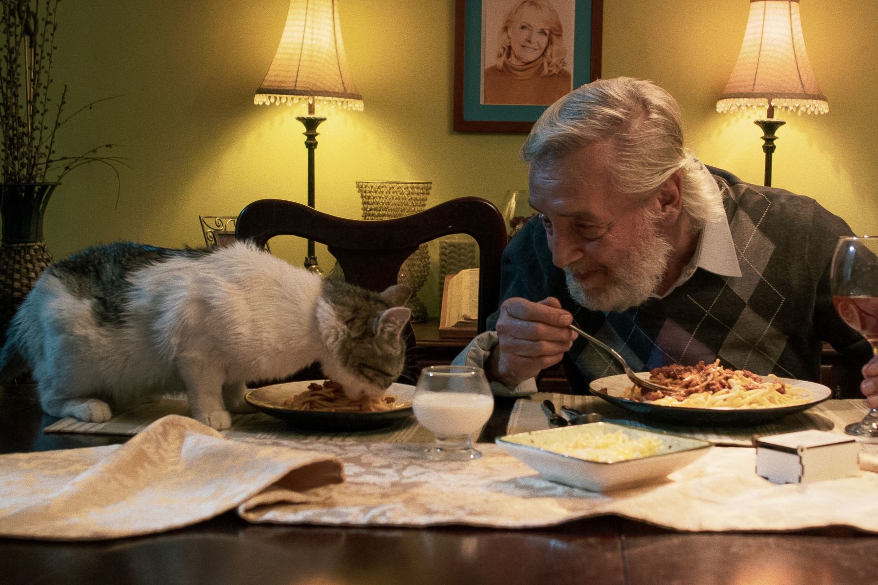 Comedia negra sobre la soledad de la vejez: llega a cartelera ‘Simón, el gato testarudo’