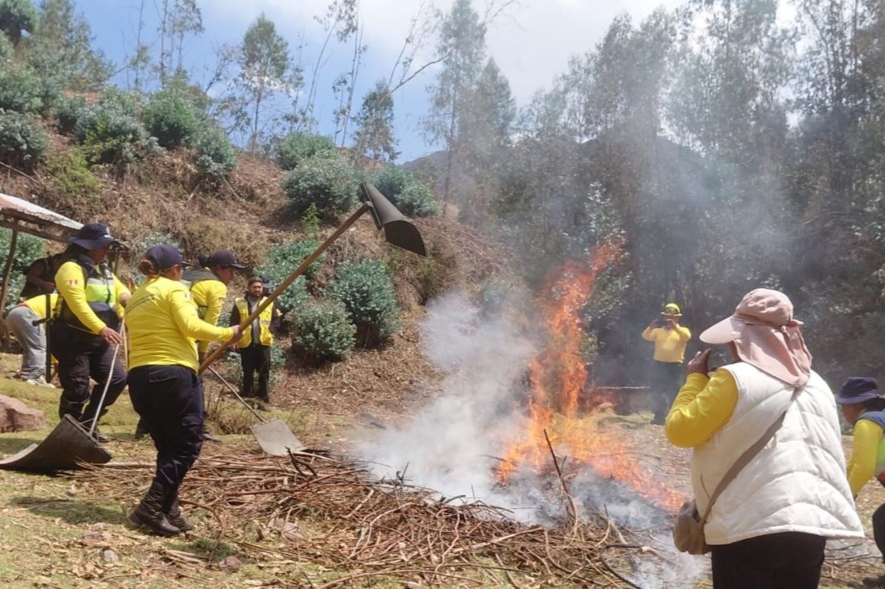 Cusco: Serfor capacita a más de 400 brigadistas para prevenir incendios forestales