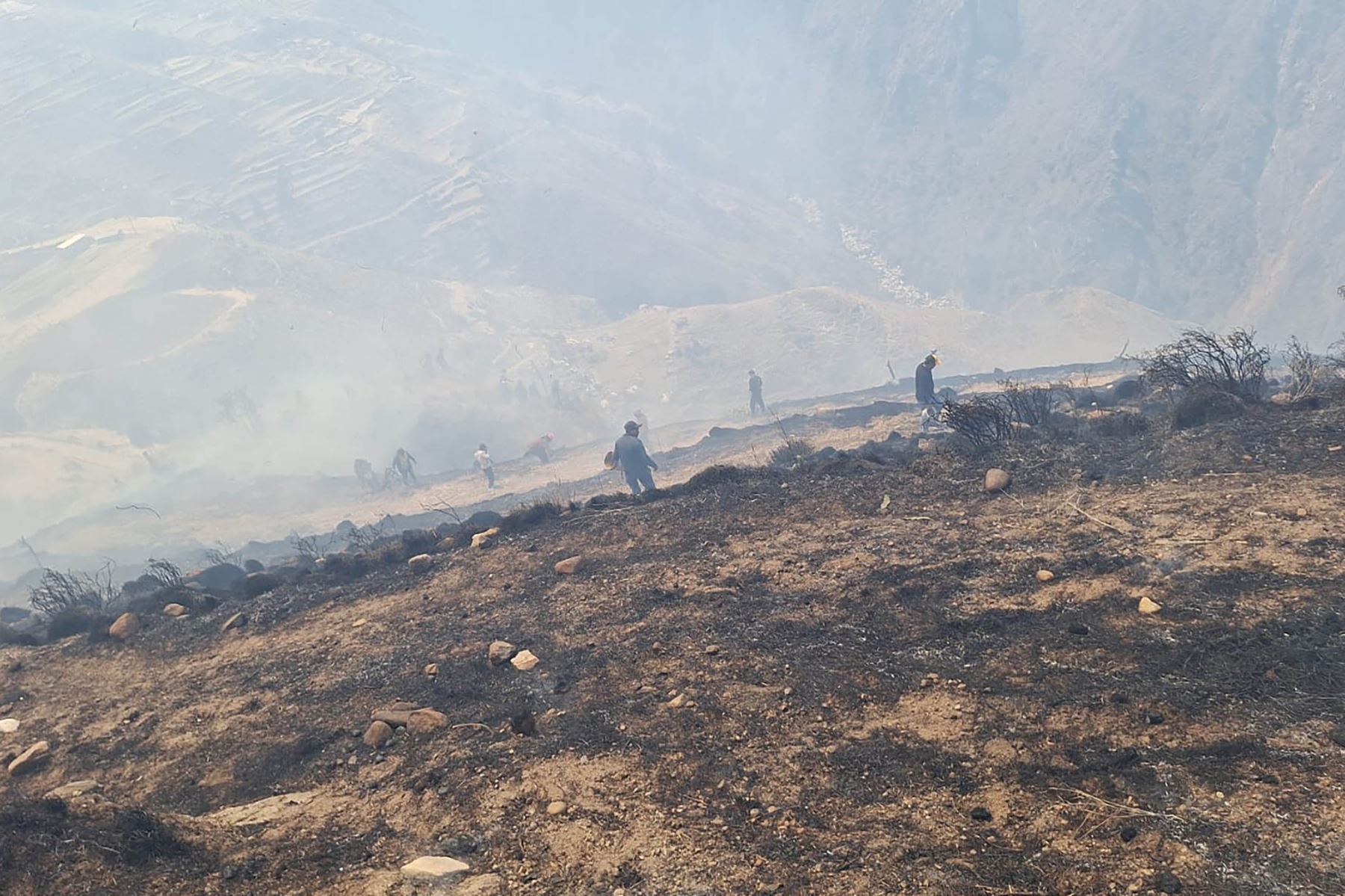 Incendio forestal en Ayacucho: sofocan fuego en Lucanamarca tras 48 horas de ardua lucha