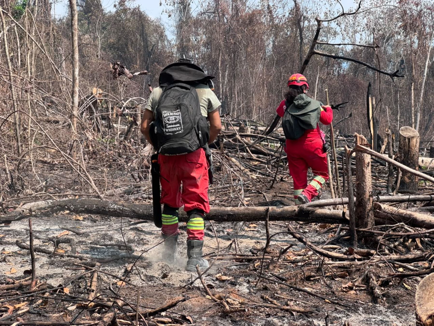 Incendio forestal en la Selva Central:  siniestro causa graves daños en distrito Río Tambo
