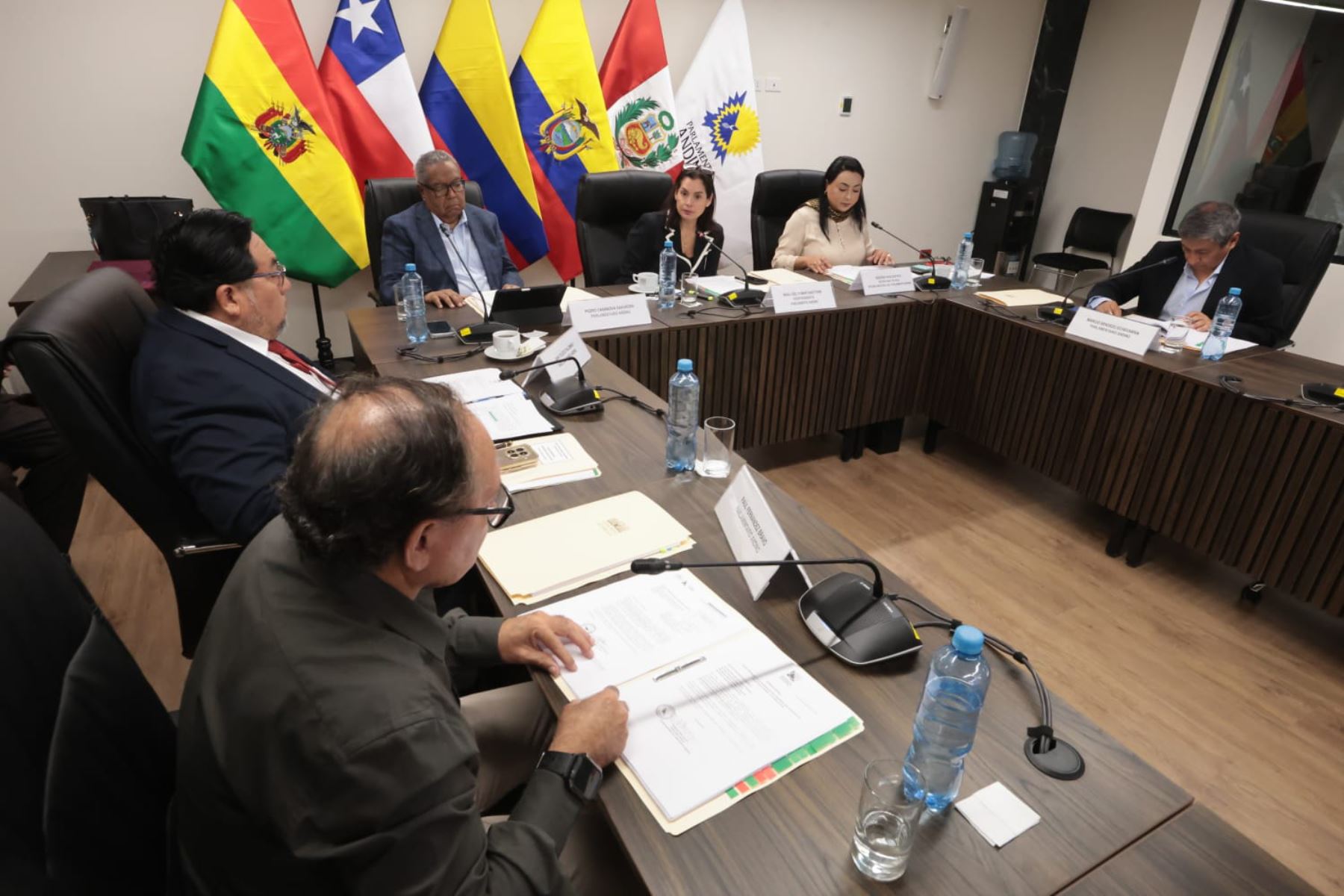 Parlamento Andino aprueba convenios con Ministerio de Justicia y Municipalidad de Lima